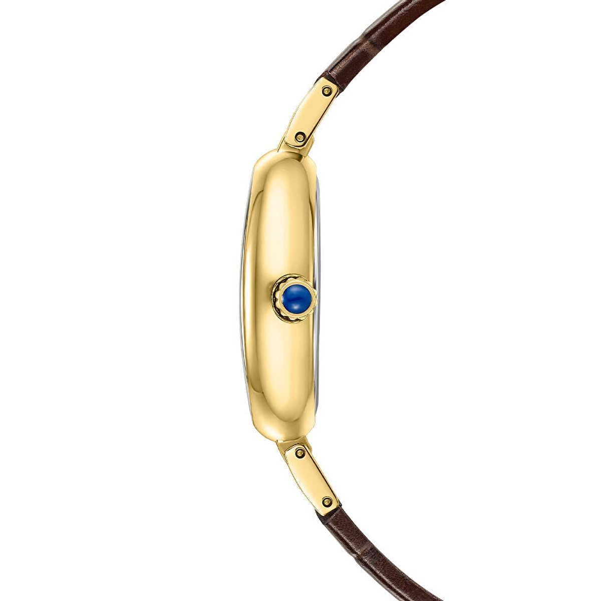 Roche Montre RML5027-01 Kadın Kol Saati