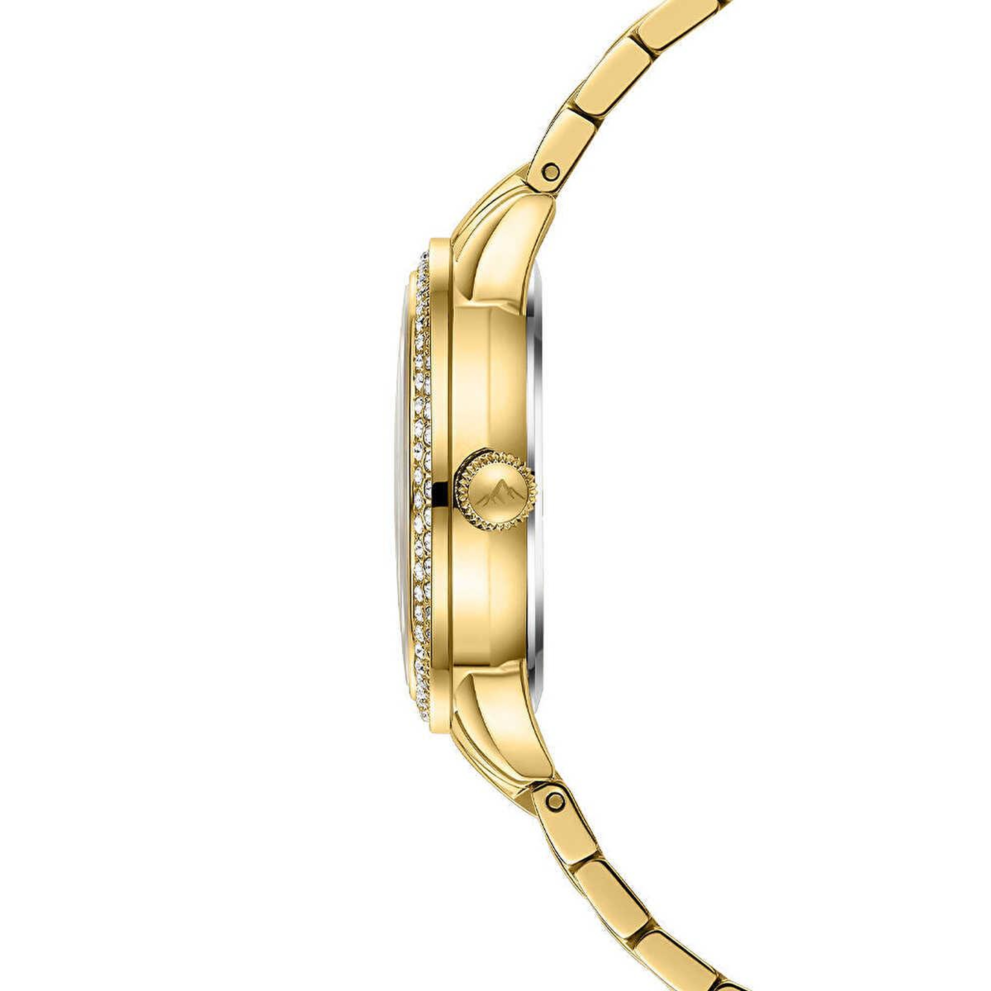 Roche Montre RML5021-04 Kadın Kol Saati