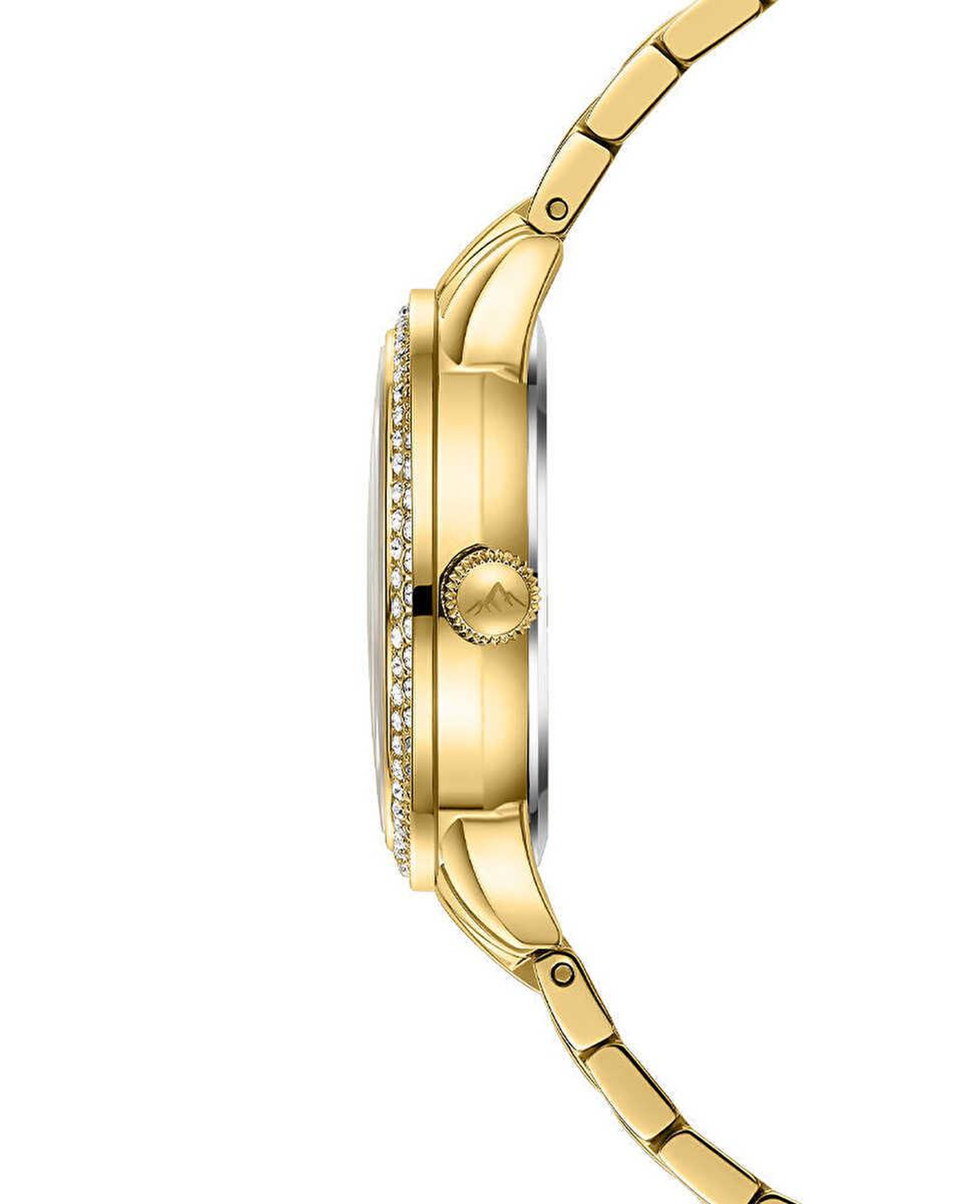 Roche Montre RML5021-04 Kadın Kol Saati