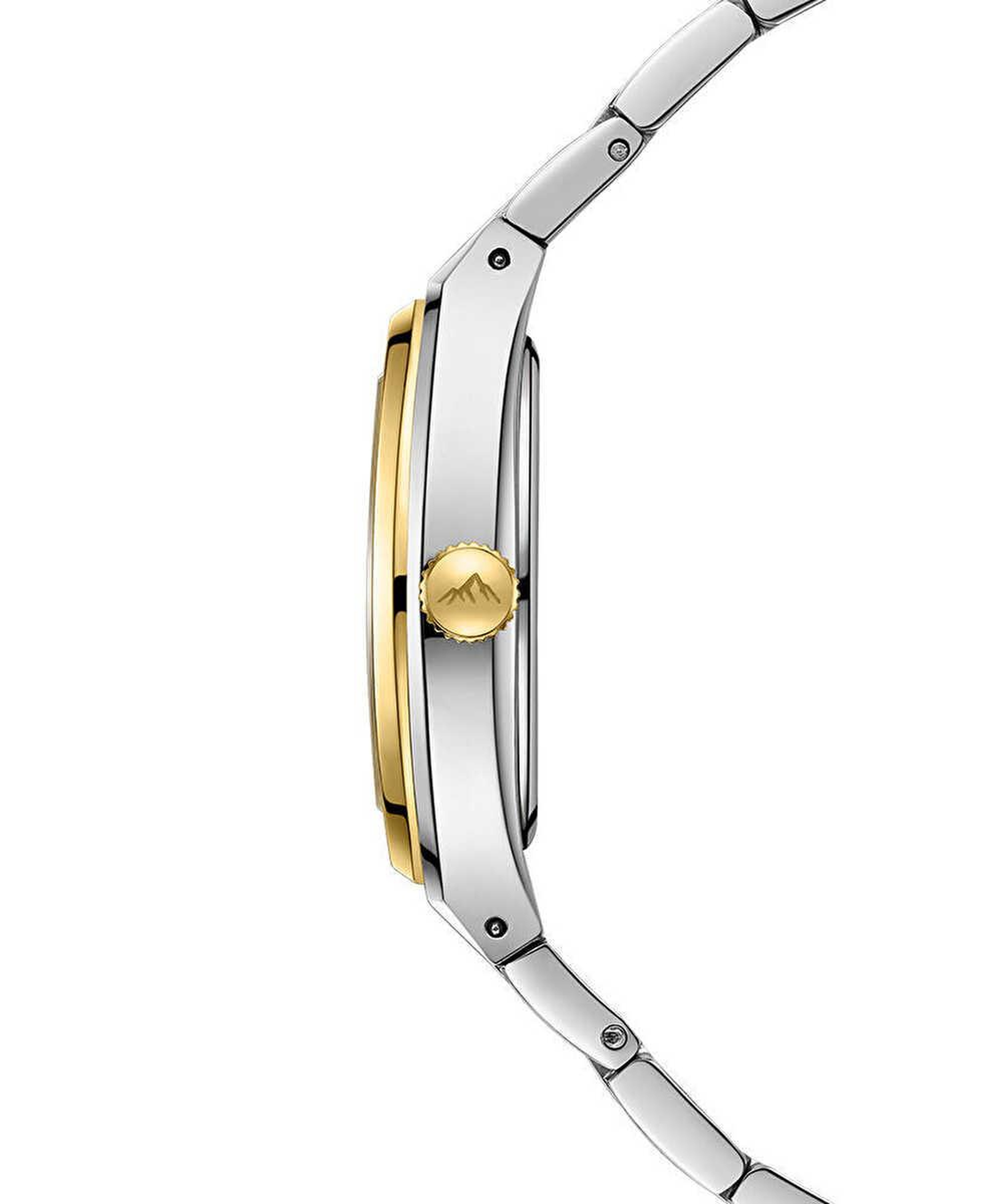Roche Montre RML5023-01 Kadın Kol Saati