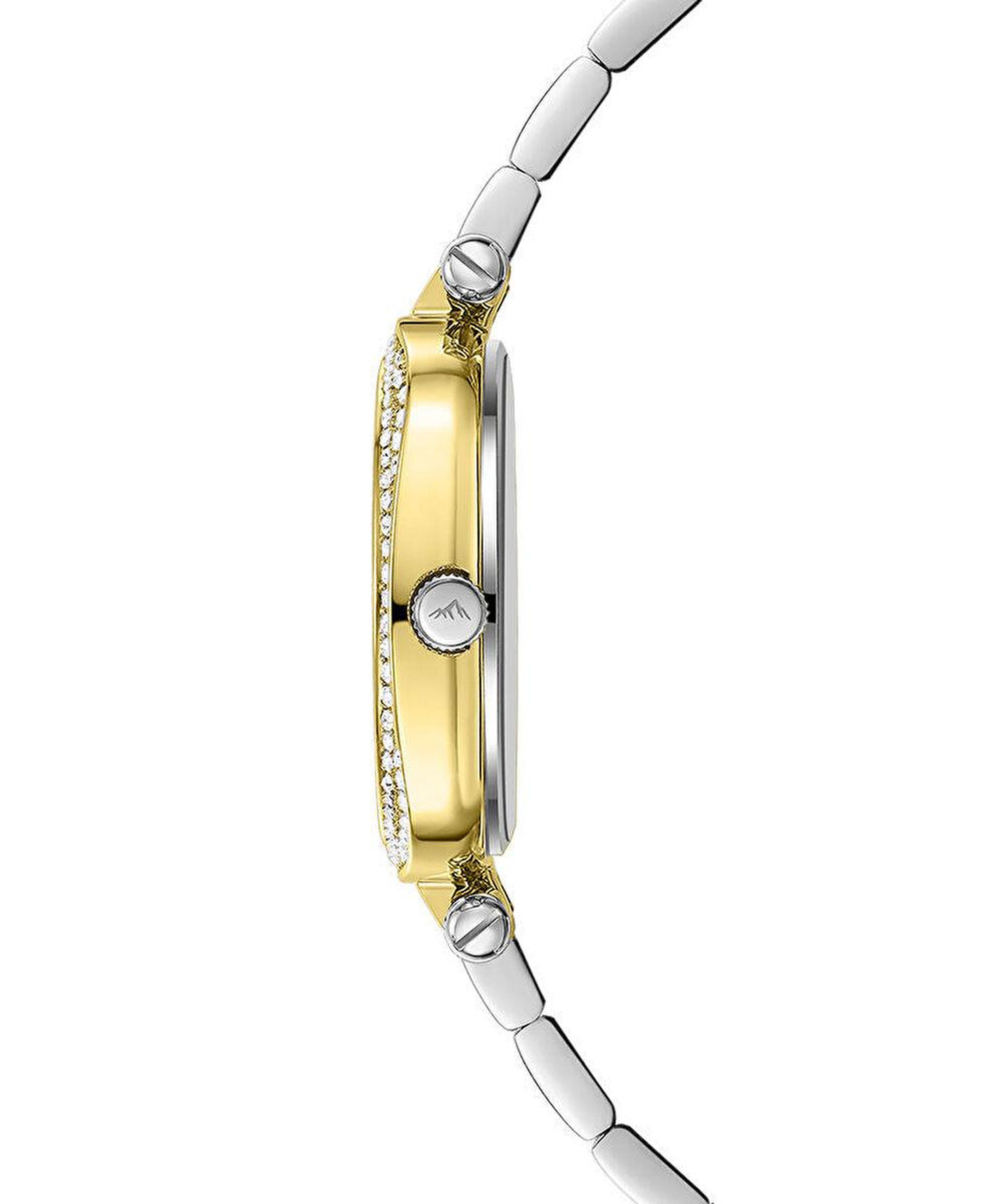 Roche Montre RML7002-02 Kadın Kol Saati