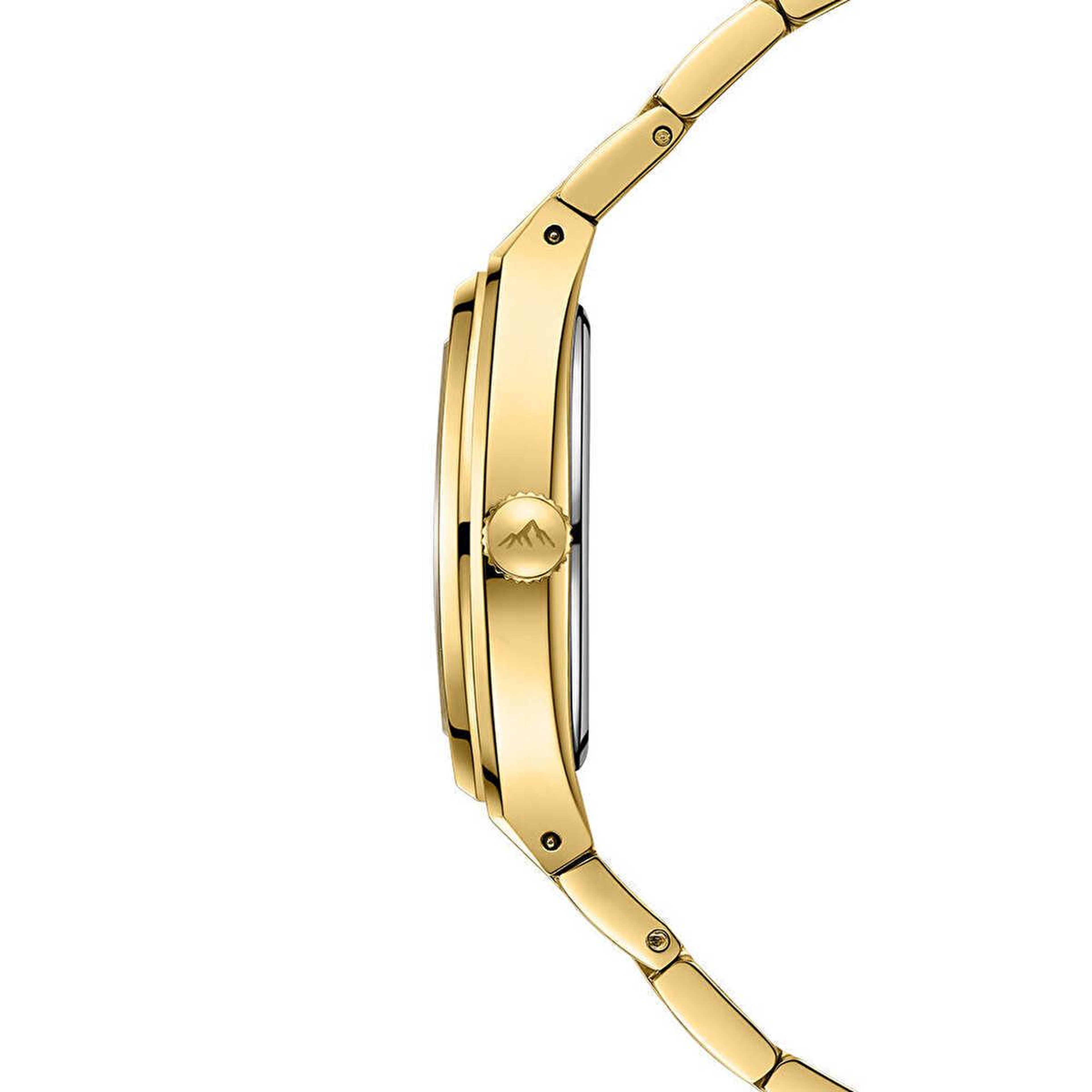 Roche Montre RML5023-02 Kadın Kol Saati