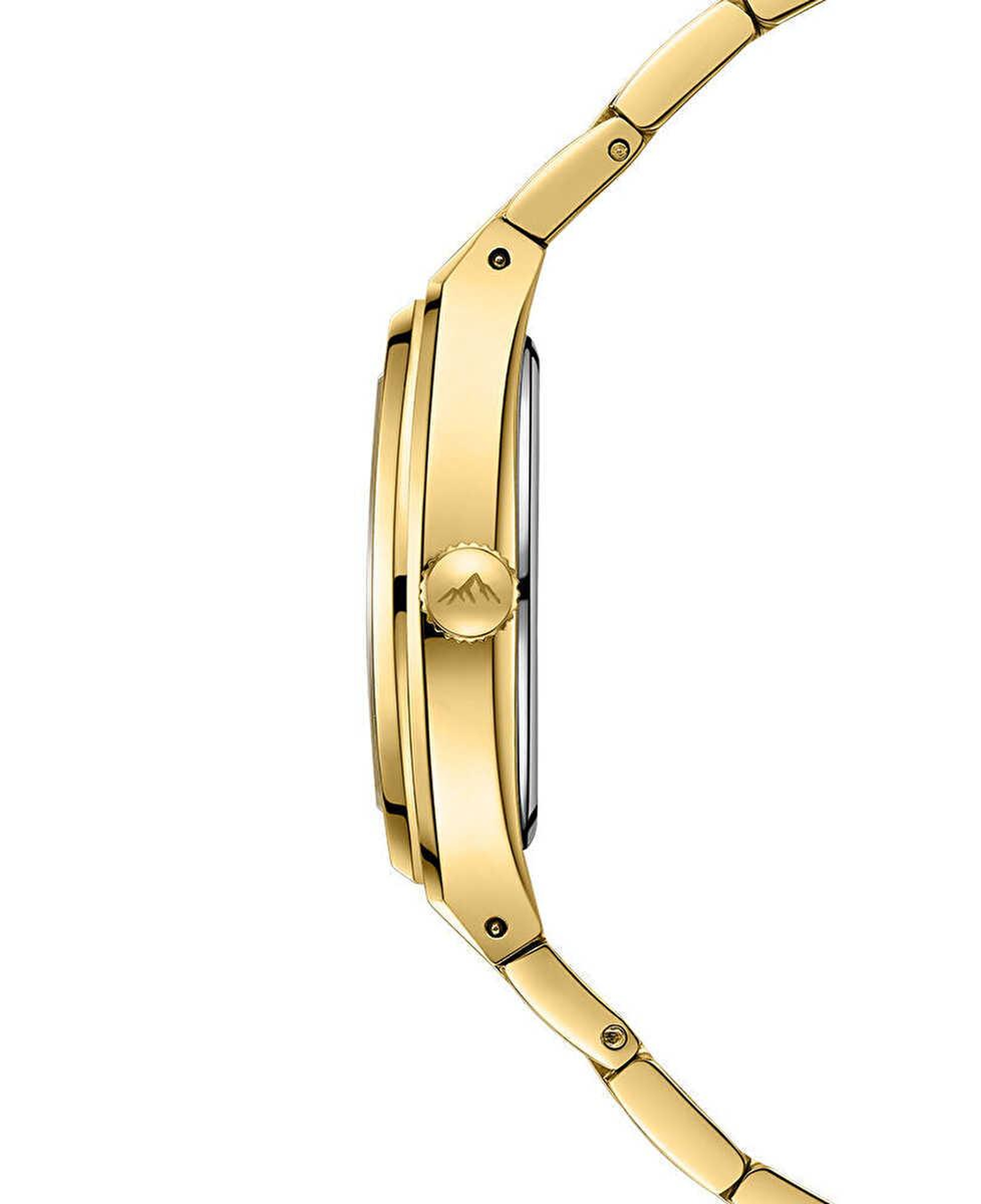 Roche Montre RML5023-02 Kadın Kol Saati