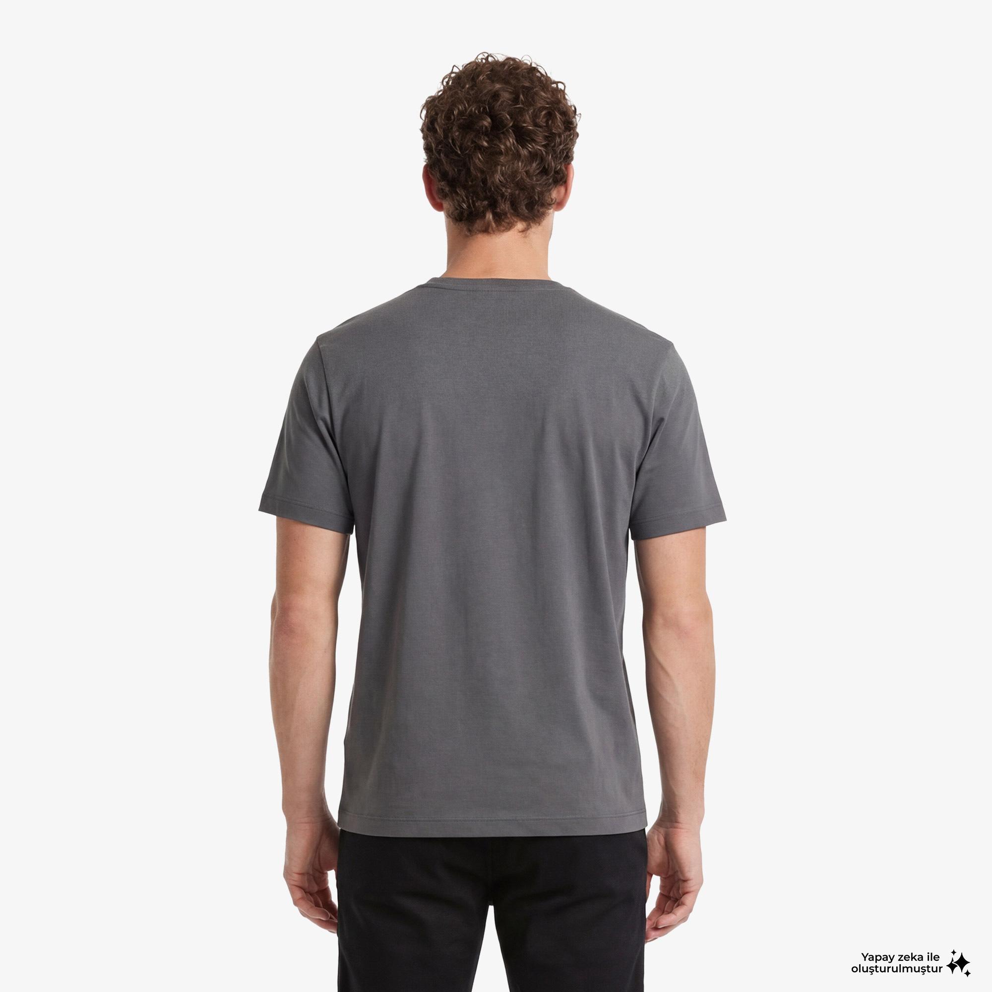 Nautica Erkek Gri Regular Fit T-Shirt