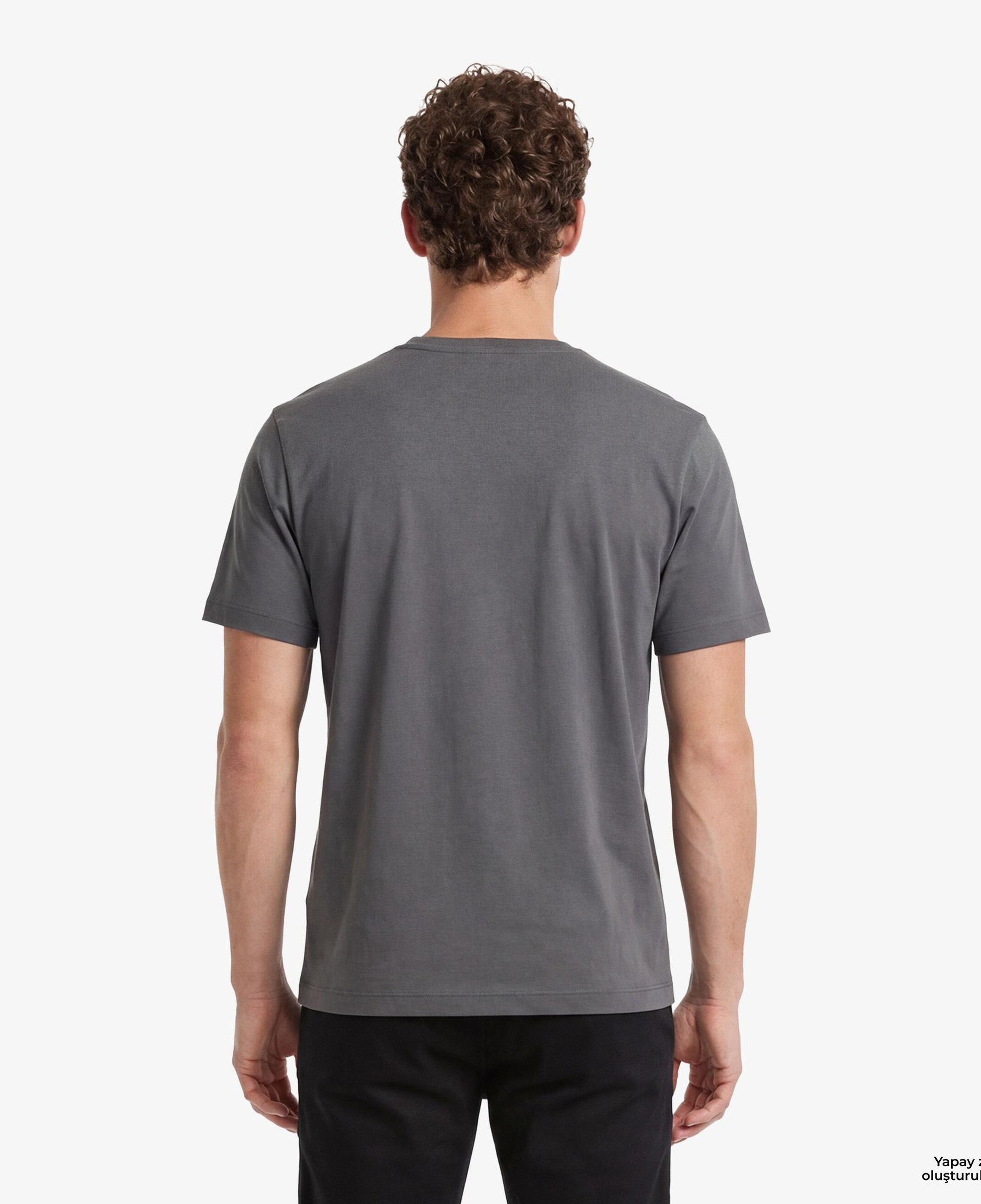 Nautica Erkek Gri Regular Fit T-Shirt