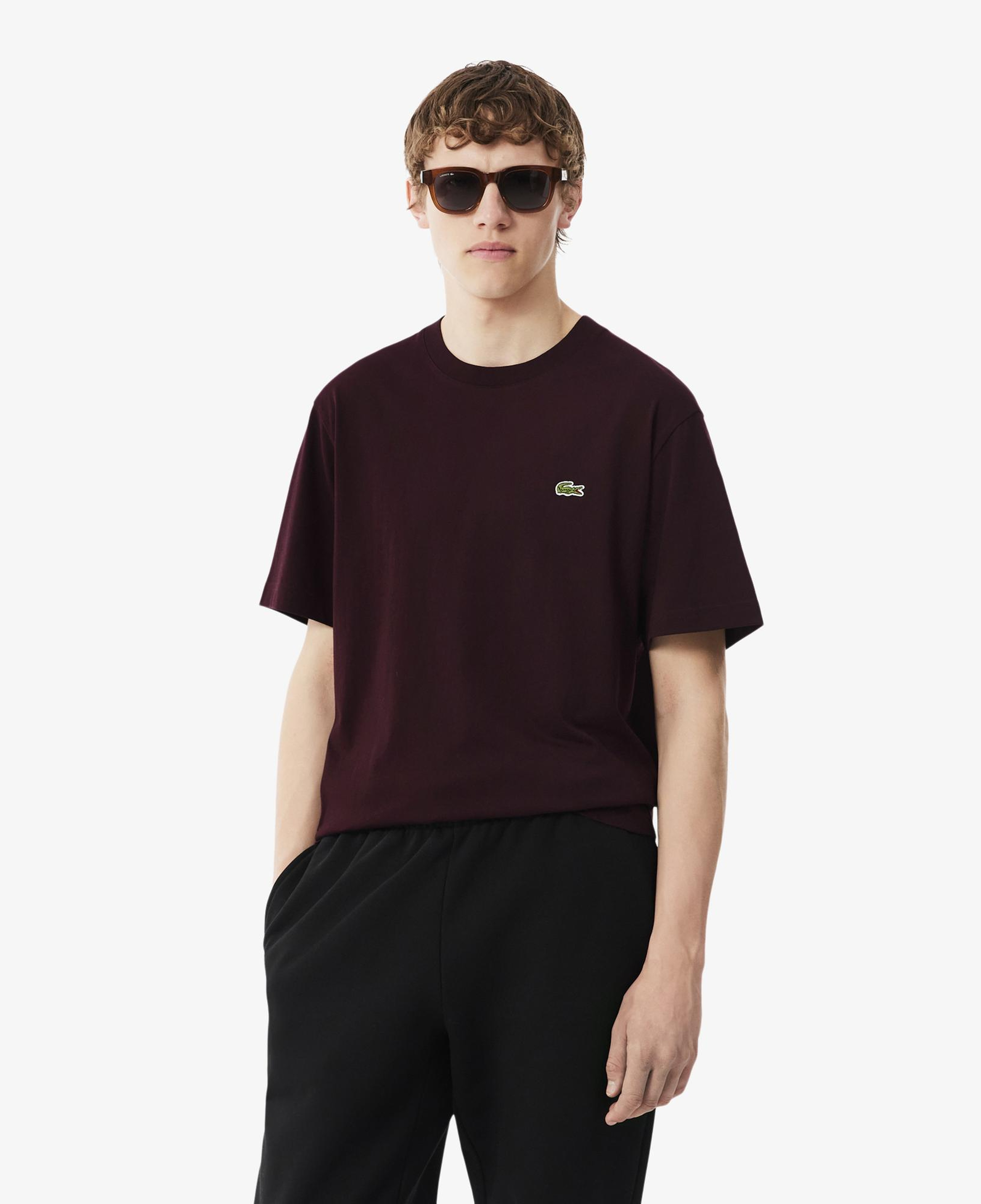 Erkek Classic Fit Bisiklet Yaka Bordo T-Shirt