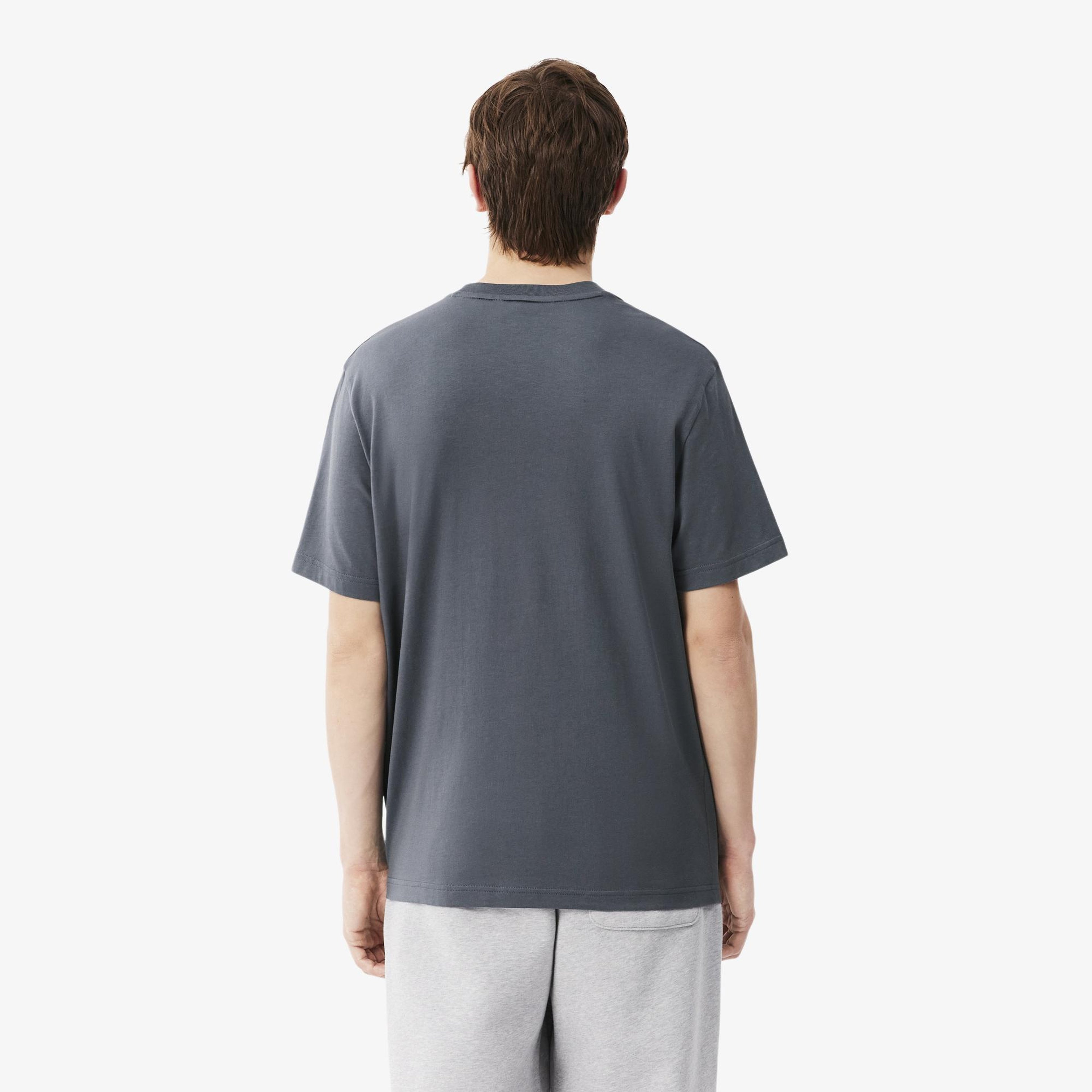 Erkek Classic Fit Bisiklet Yaka Koyu Gri T-Shirt