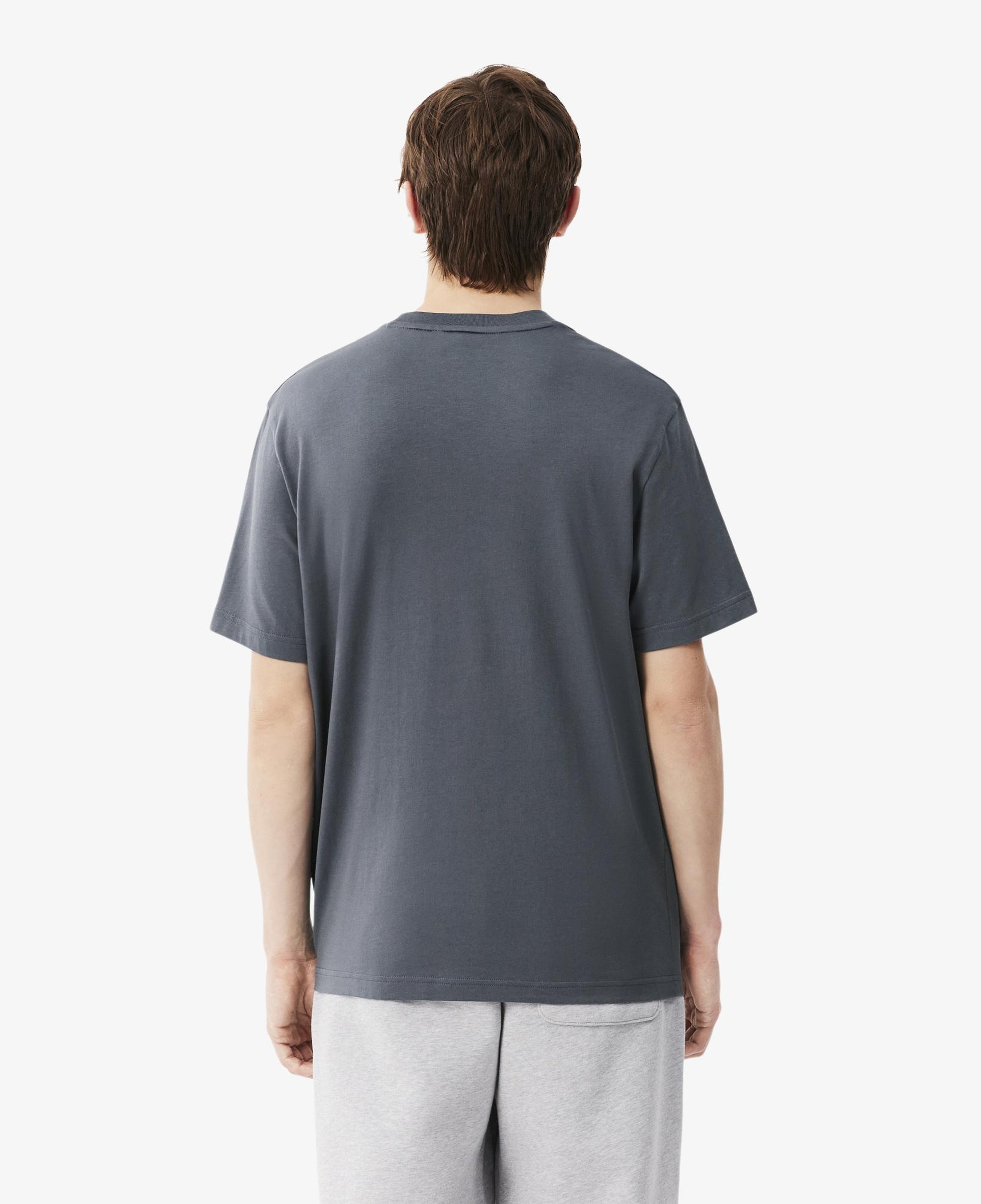 Erkek Classic Fit Bisiklet Yaka Koyu Gri T-Shirt