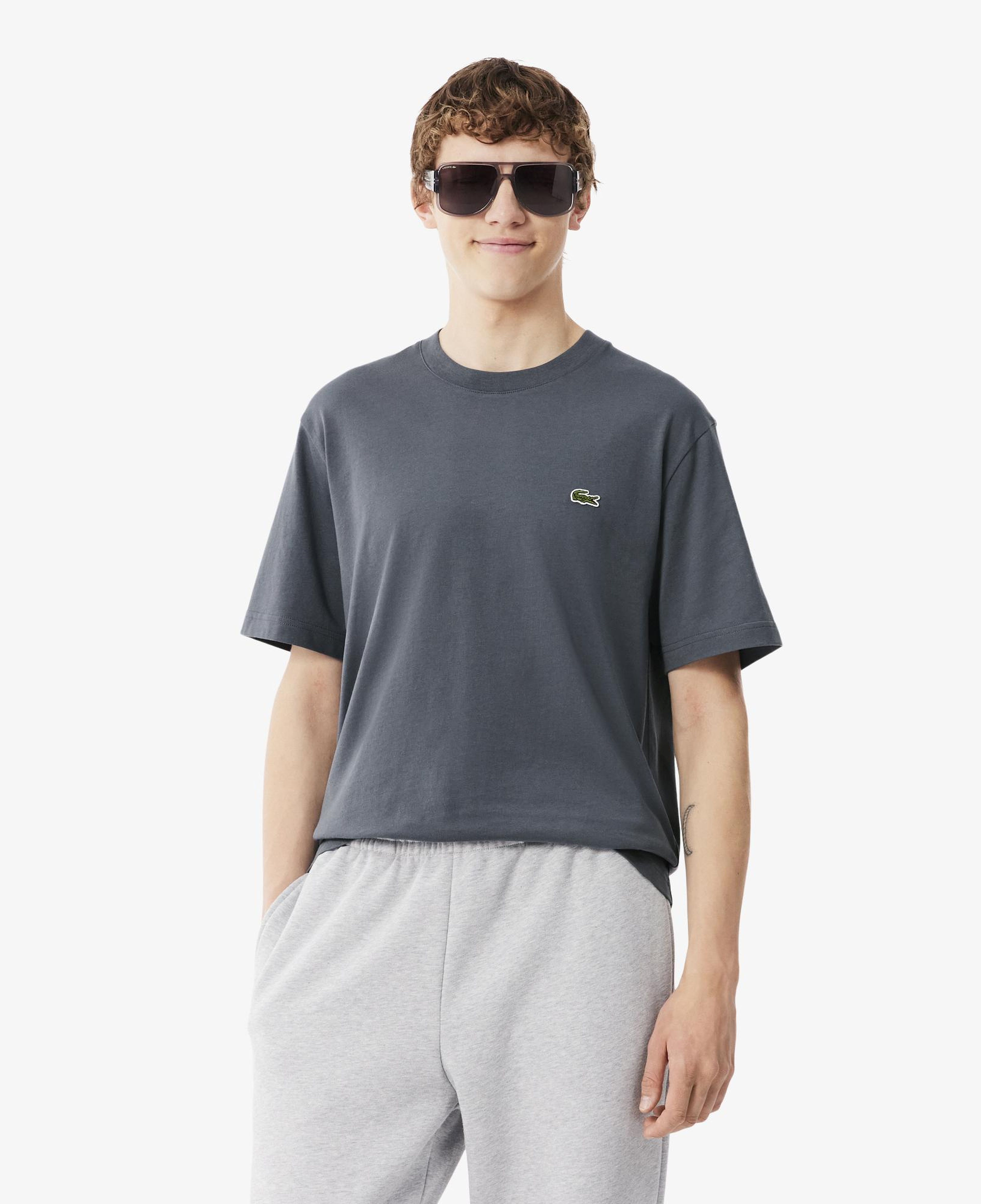 Erkek Classic Fit Bisiklet Yaka Koyu Gri T-Shirt