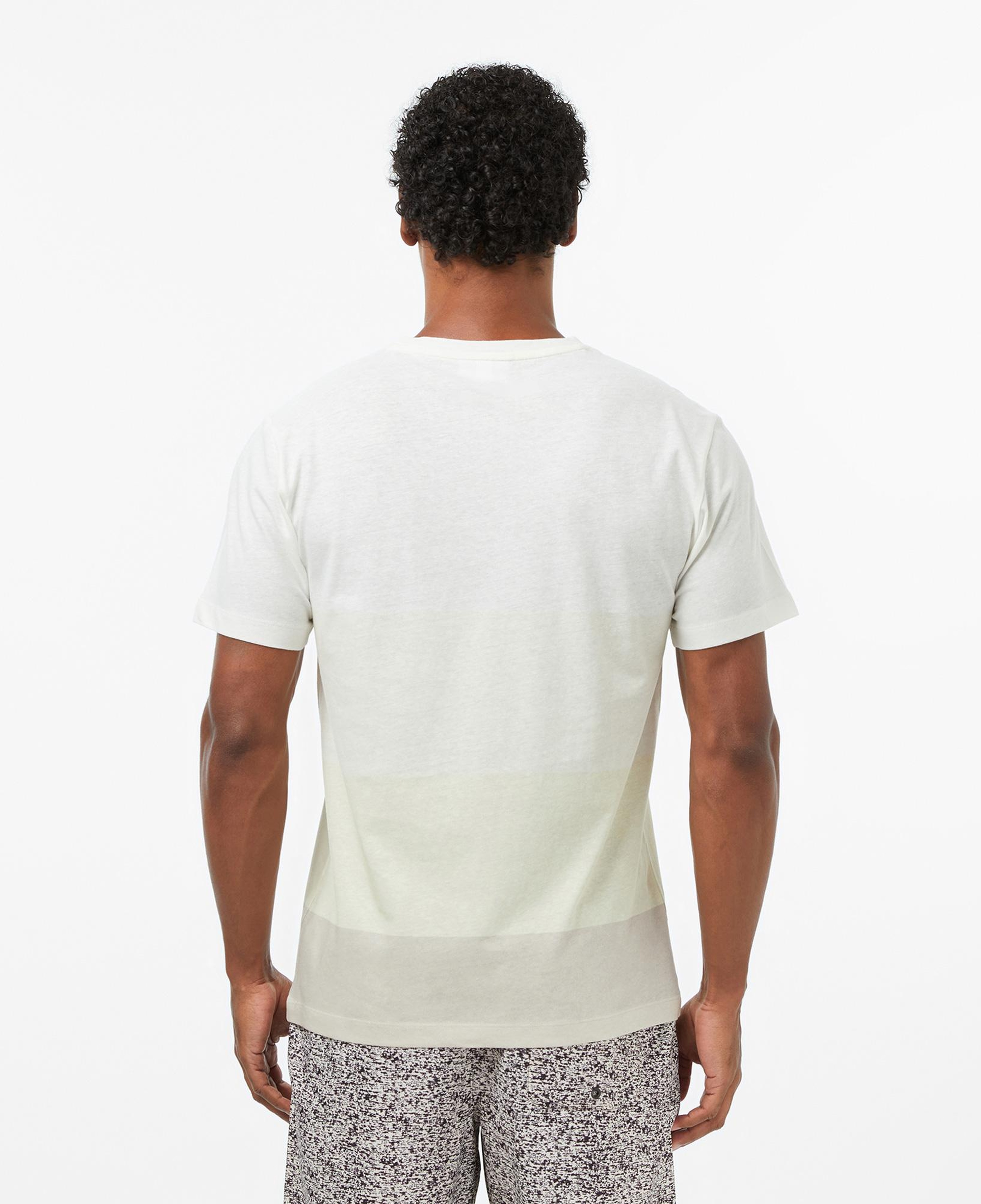 Erkek Regular Fit Bisiklet Yaka Renk Bloklu Bej T-Shirt