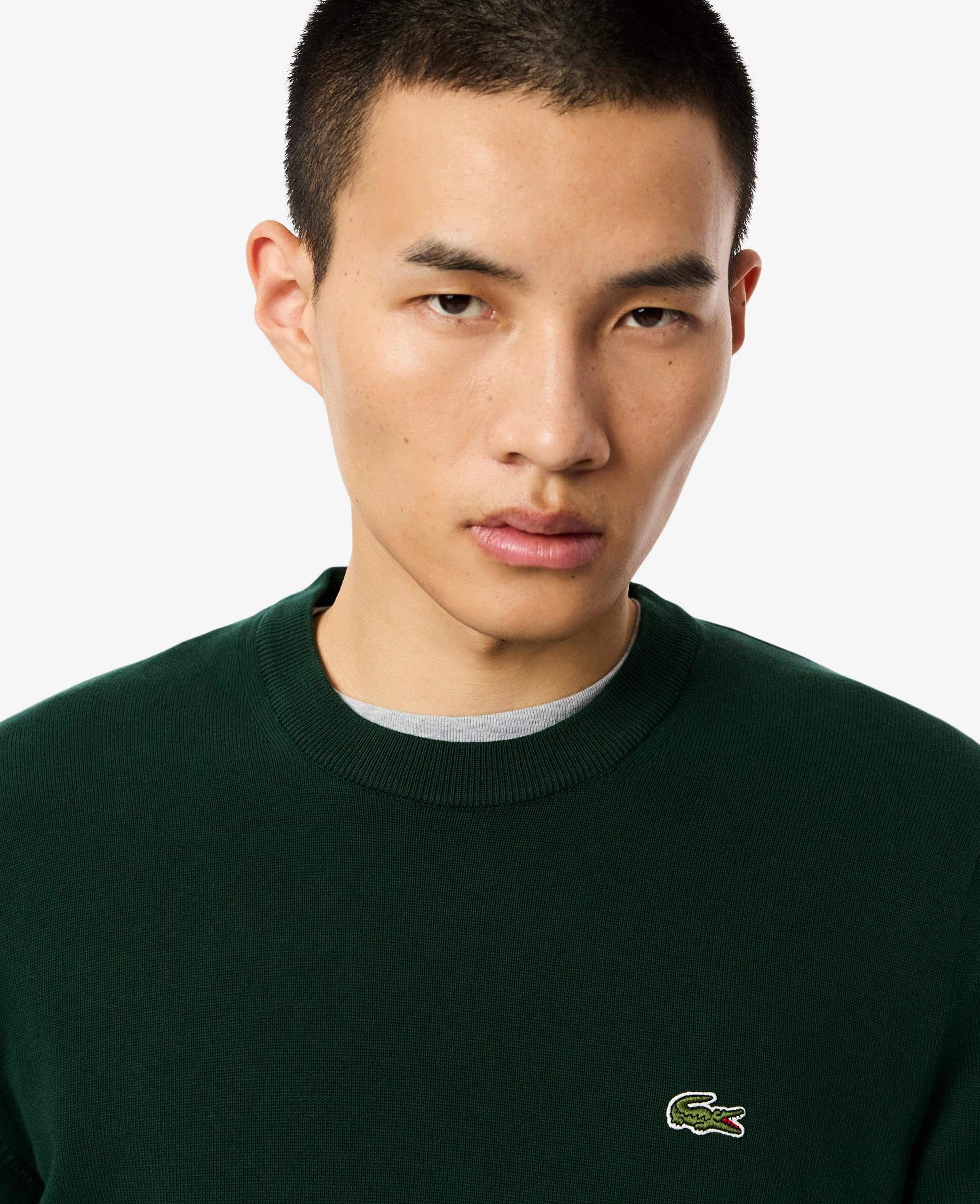 Lacoste Erkek Regular Fit Bisiklet Yaka Koyu Yeşil Kazak