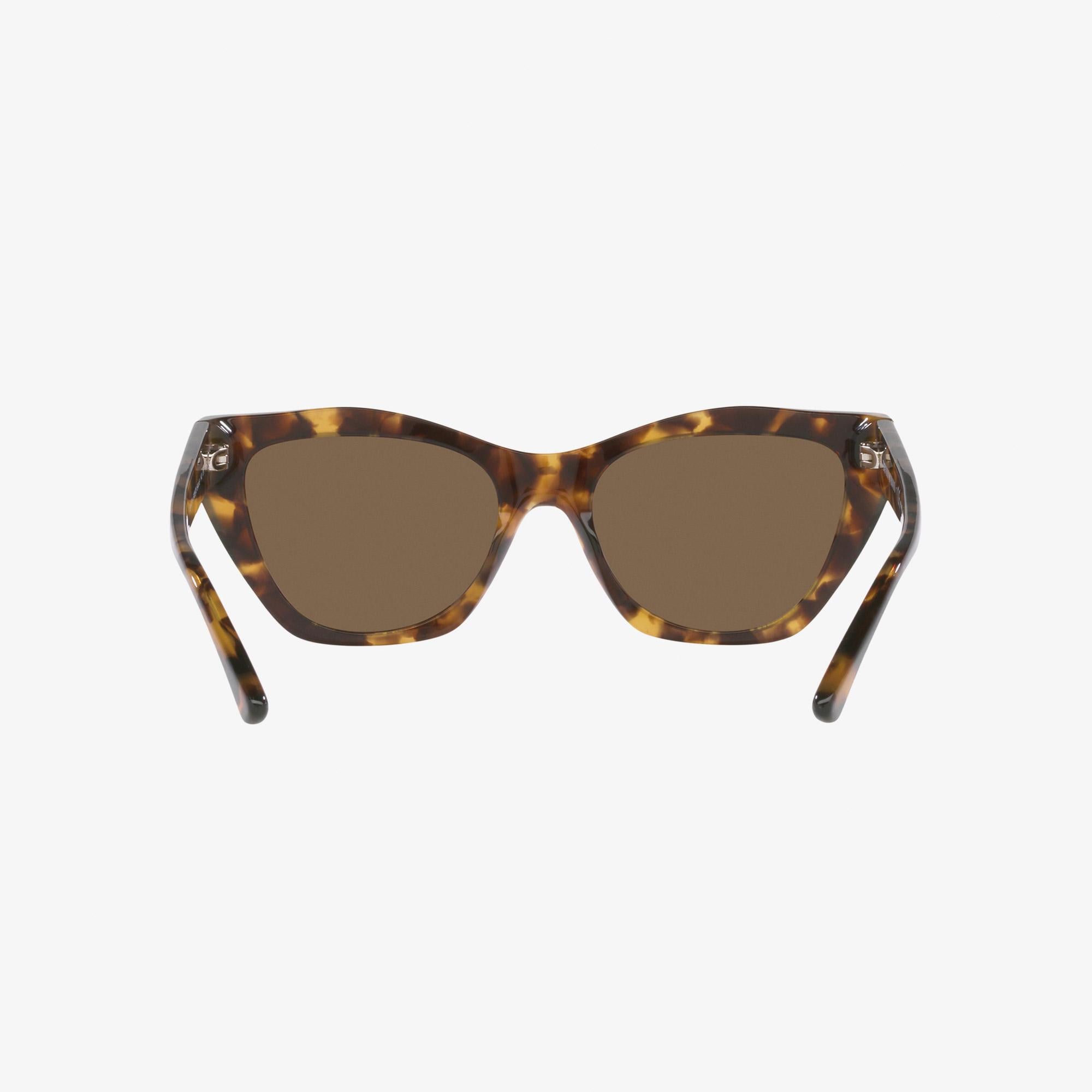 Emporio Armani Acetate Kadın Kahverengi Güneş Gözlüğü