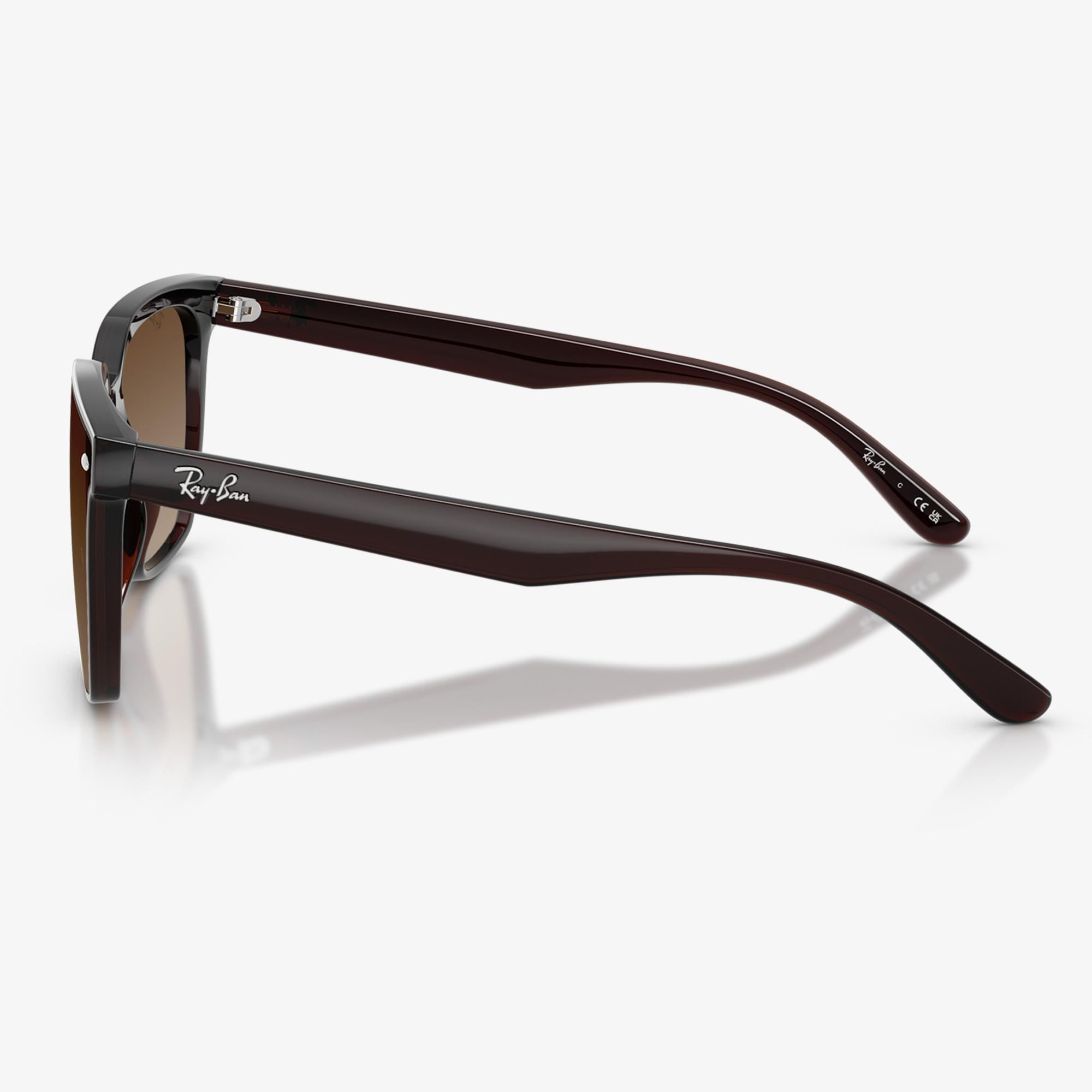 Ray-Ban RB4466D Unisex Kahverengi Güneş Gözlüğü