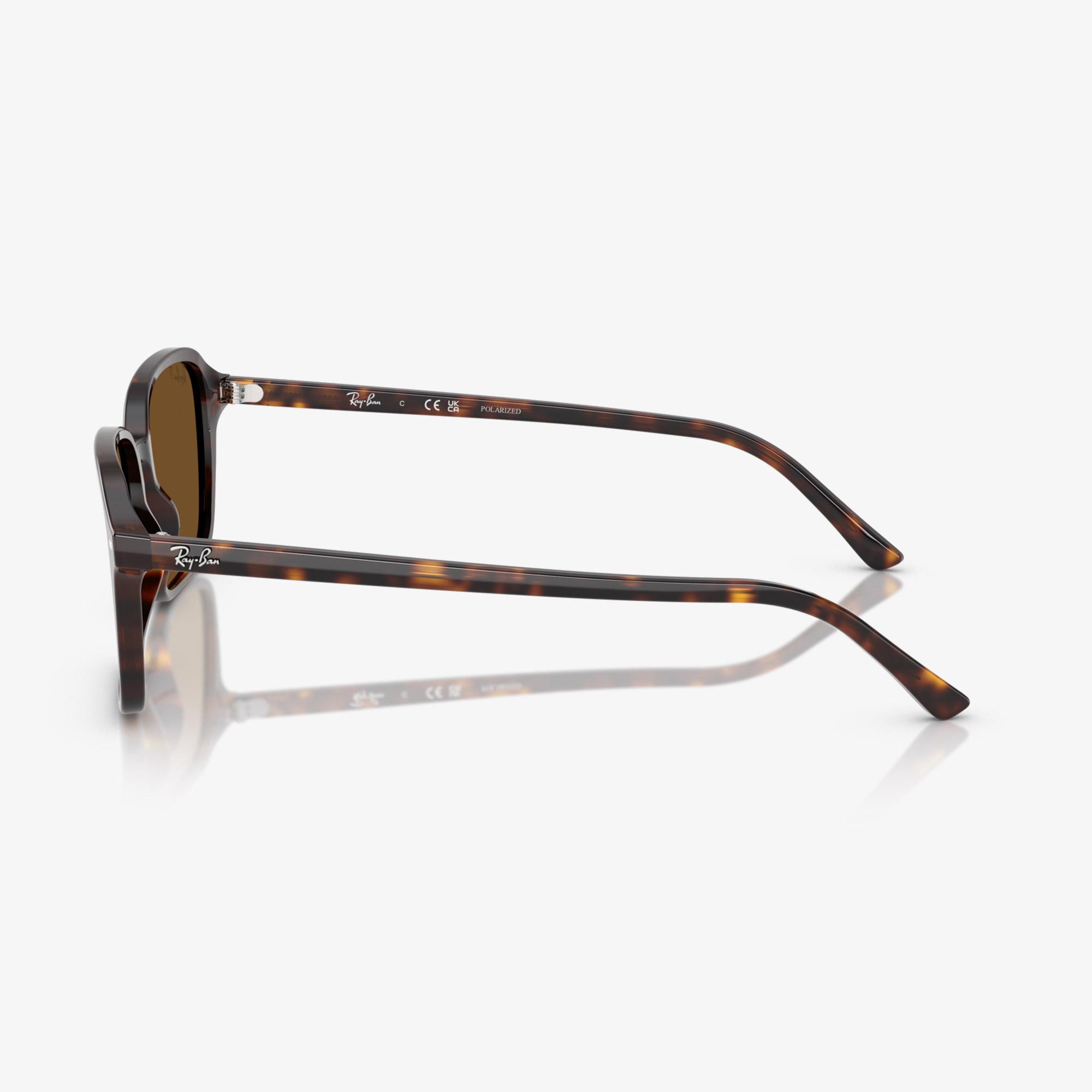 Ray-Ban Raimond RB2231 Unisex Kahverengi Güneş Gözlüğü