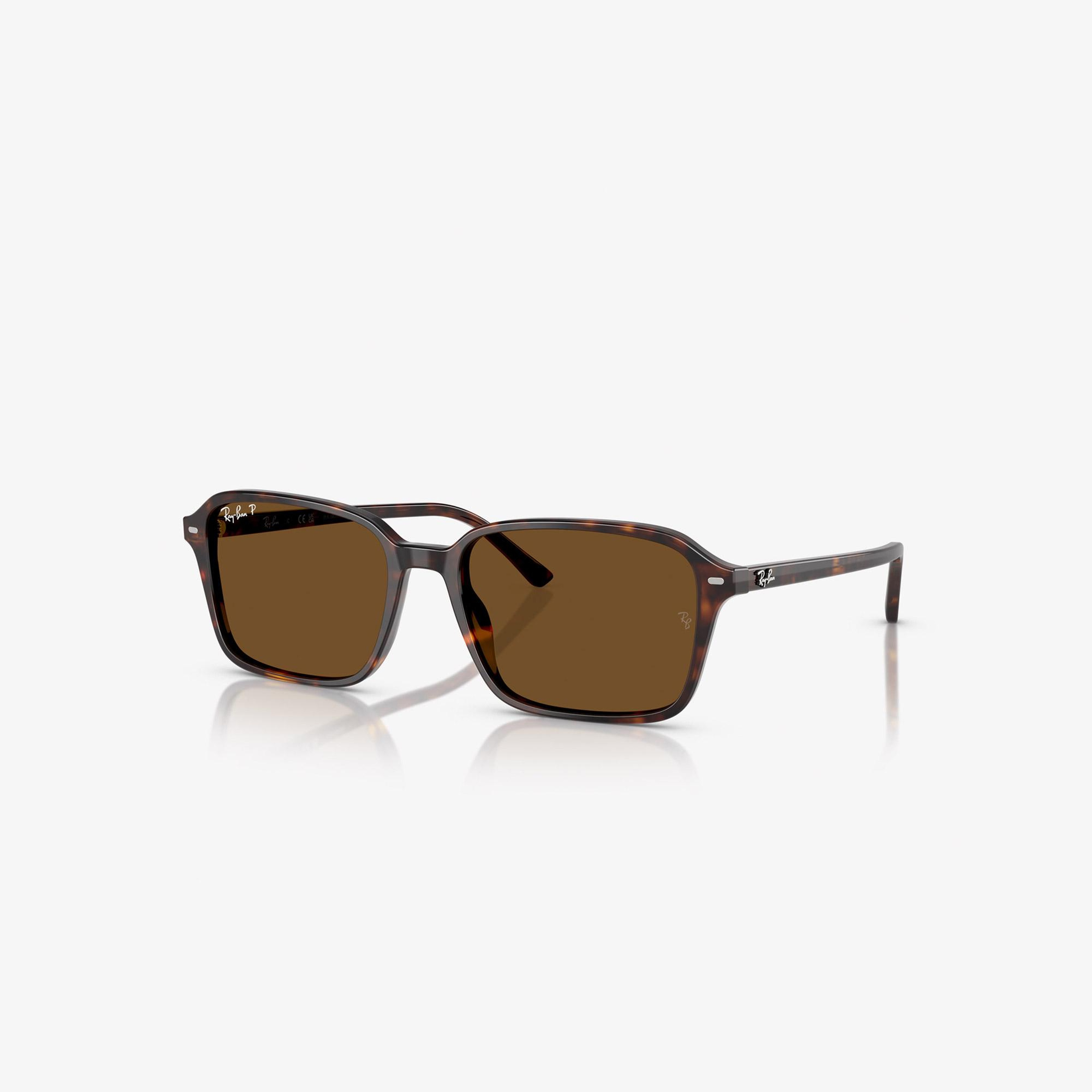 Ray-Ban Raimond RB2231 Unisex Kahverengi Güneş Gözlüğü