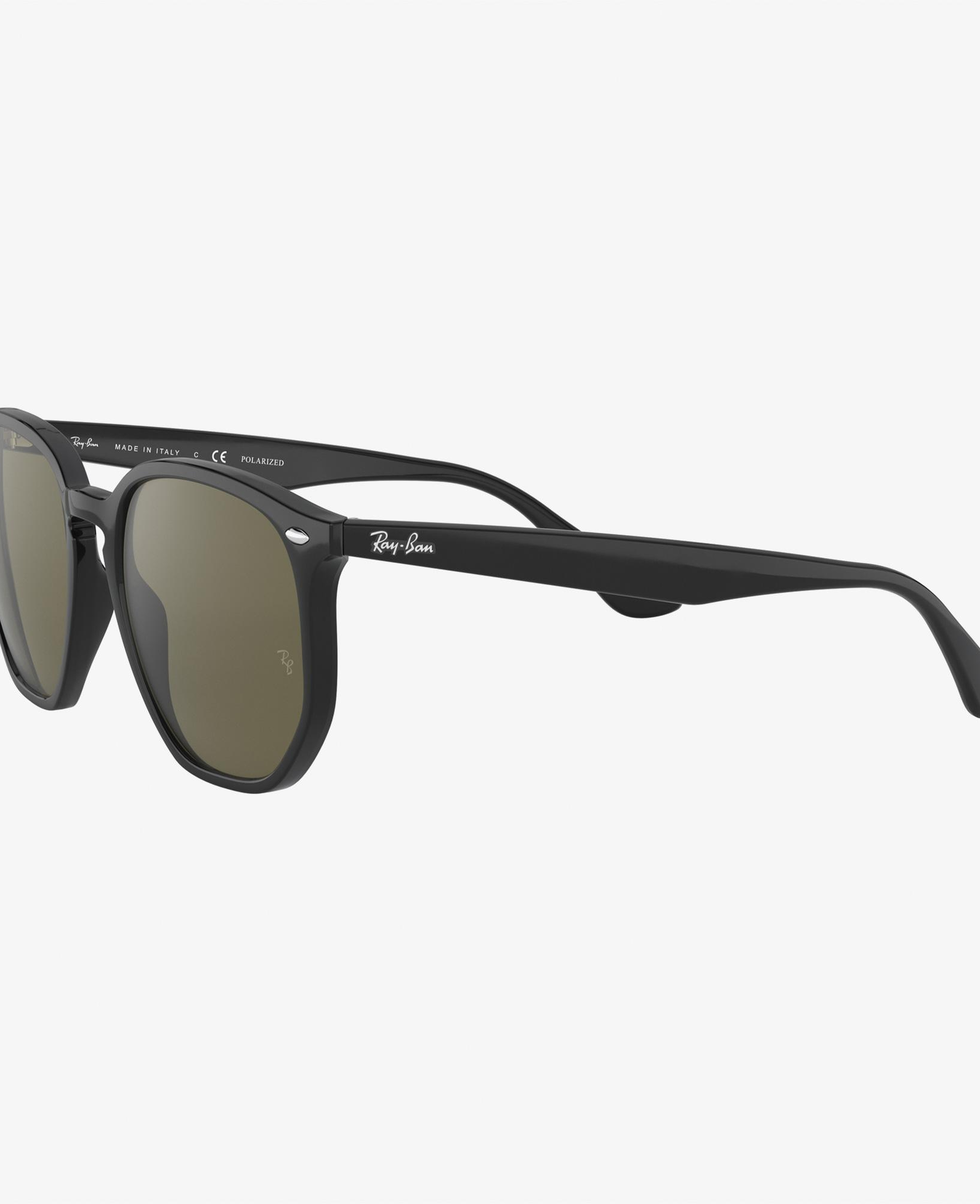 RAY-BAN 0RB4306 Unisex Siyah Güneş Gözlüğü