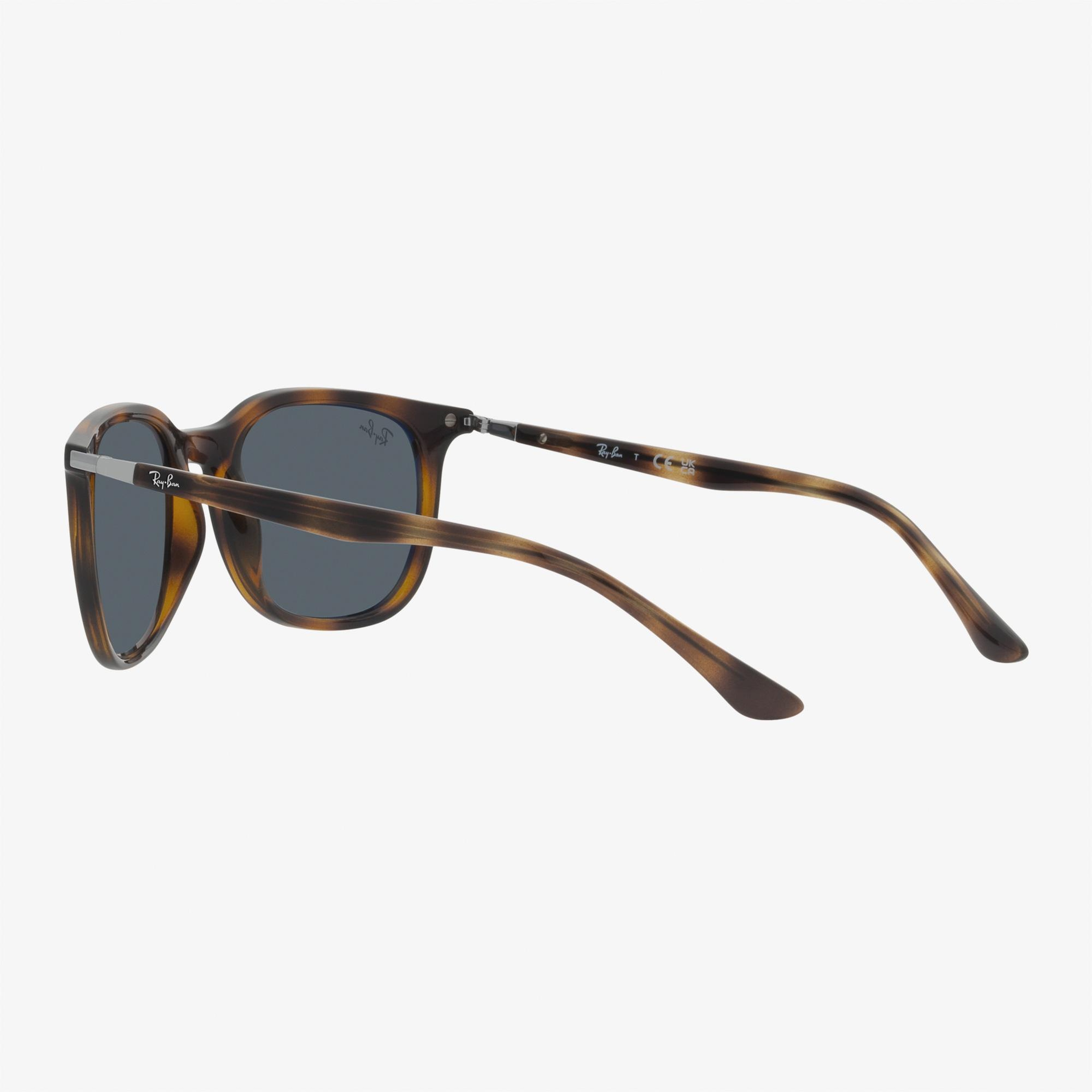 RAY-BAN 0RB4386 Unisex Kahverengi Güneş Gözlüğü