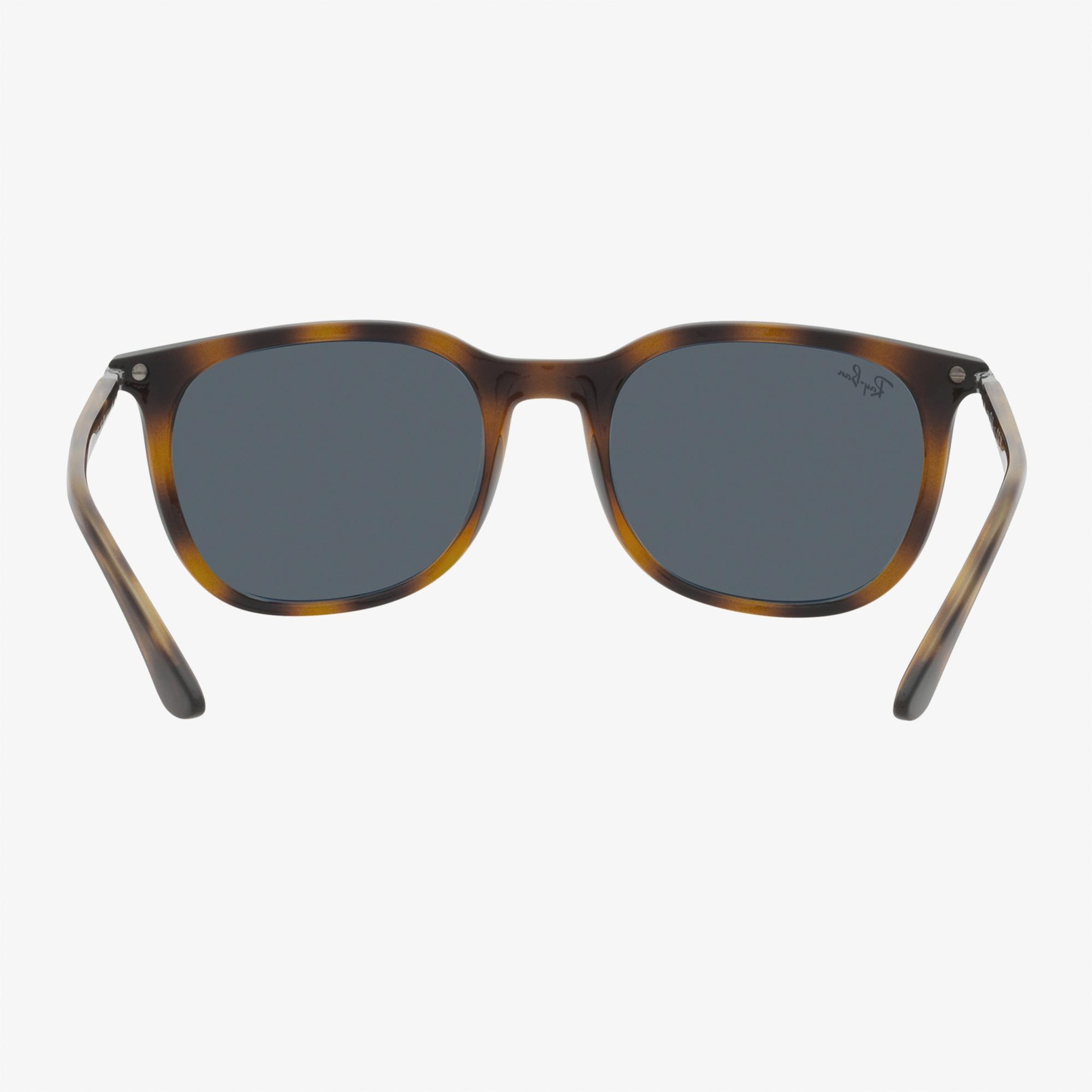 RAY-BAN 0RB4386 Unisex Kahverengi Güneş Gözlüğü