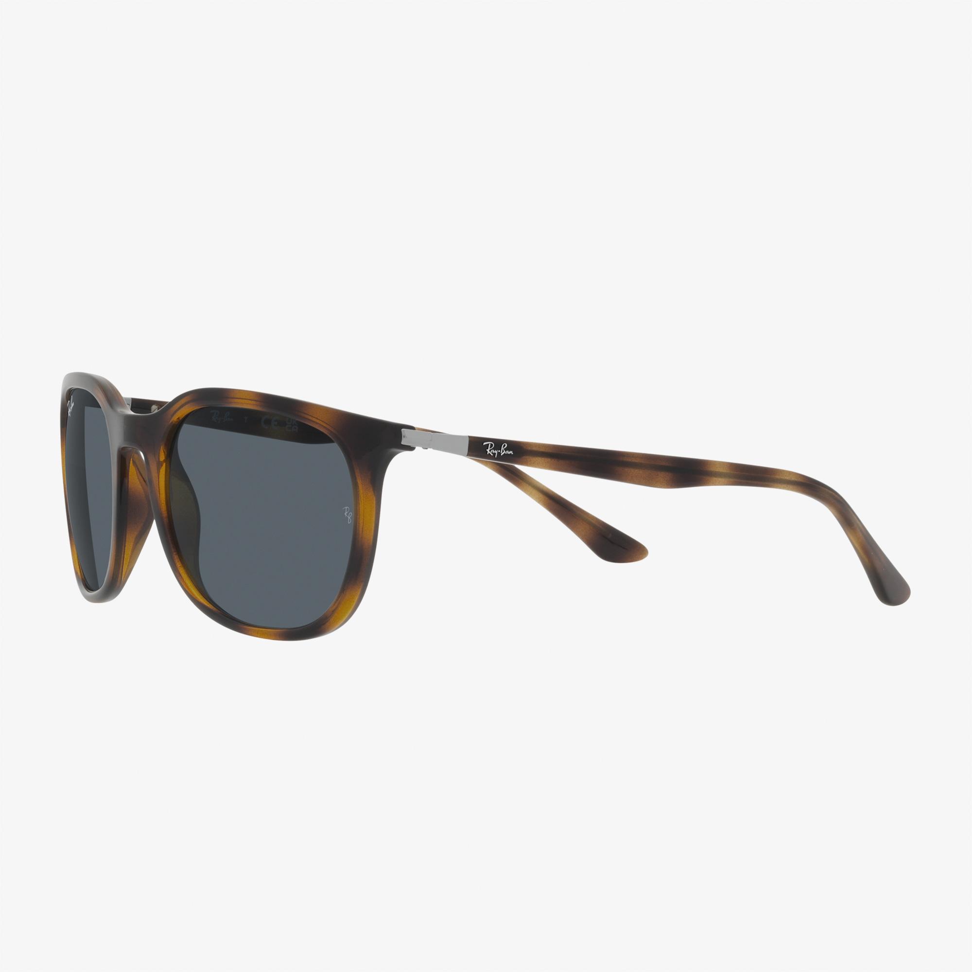 RAY-BAN 0RB4386 Unisex Kahverengi Güneş Gözlüğü