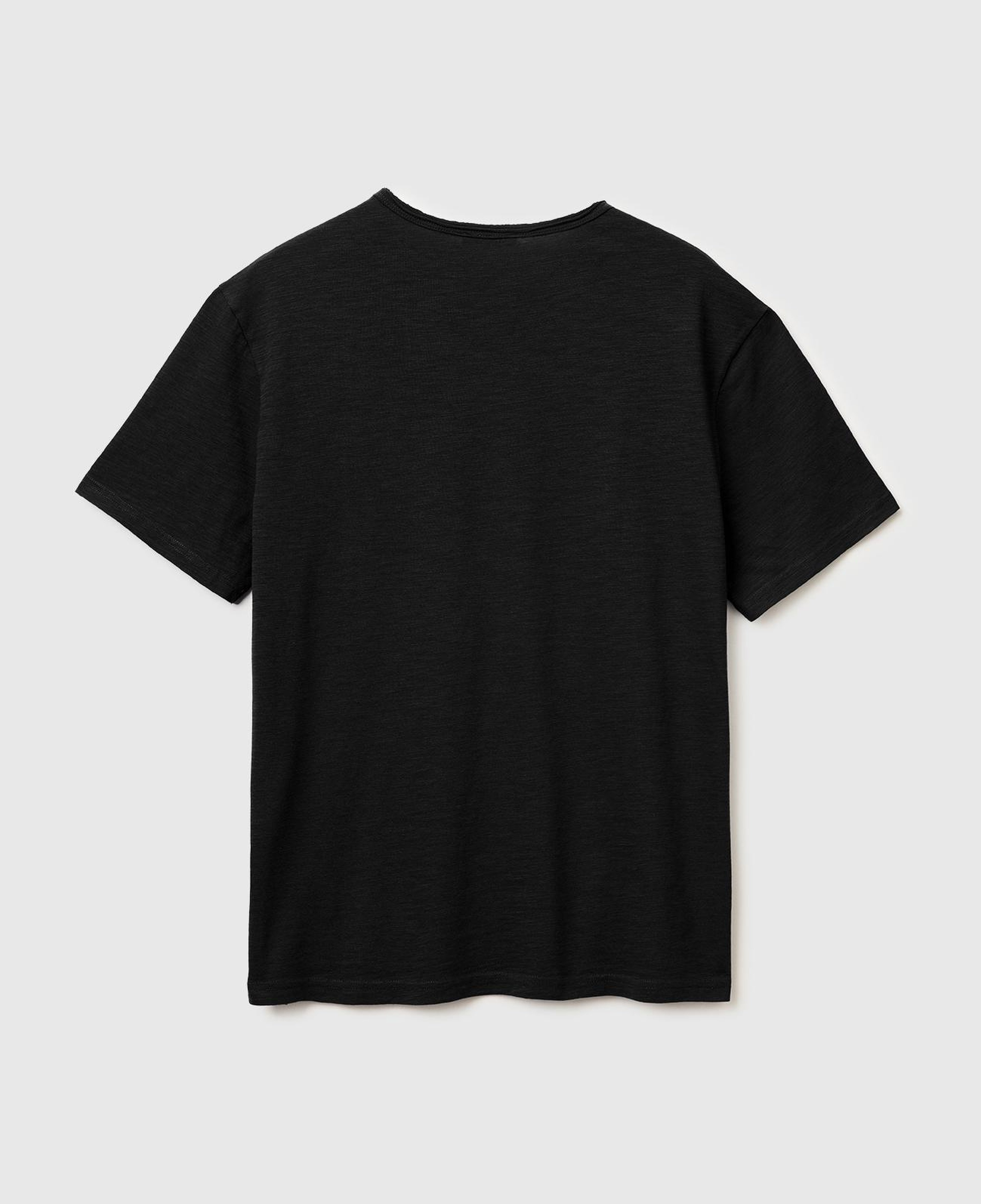 Erkek Siyah %100 Pamuk Regular Fit Bisiklet Yaka T-Shirt