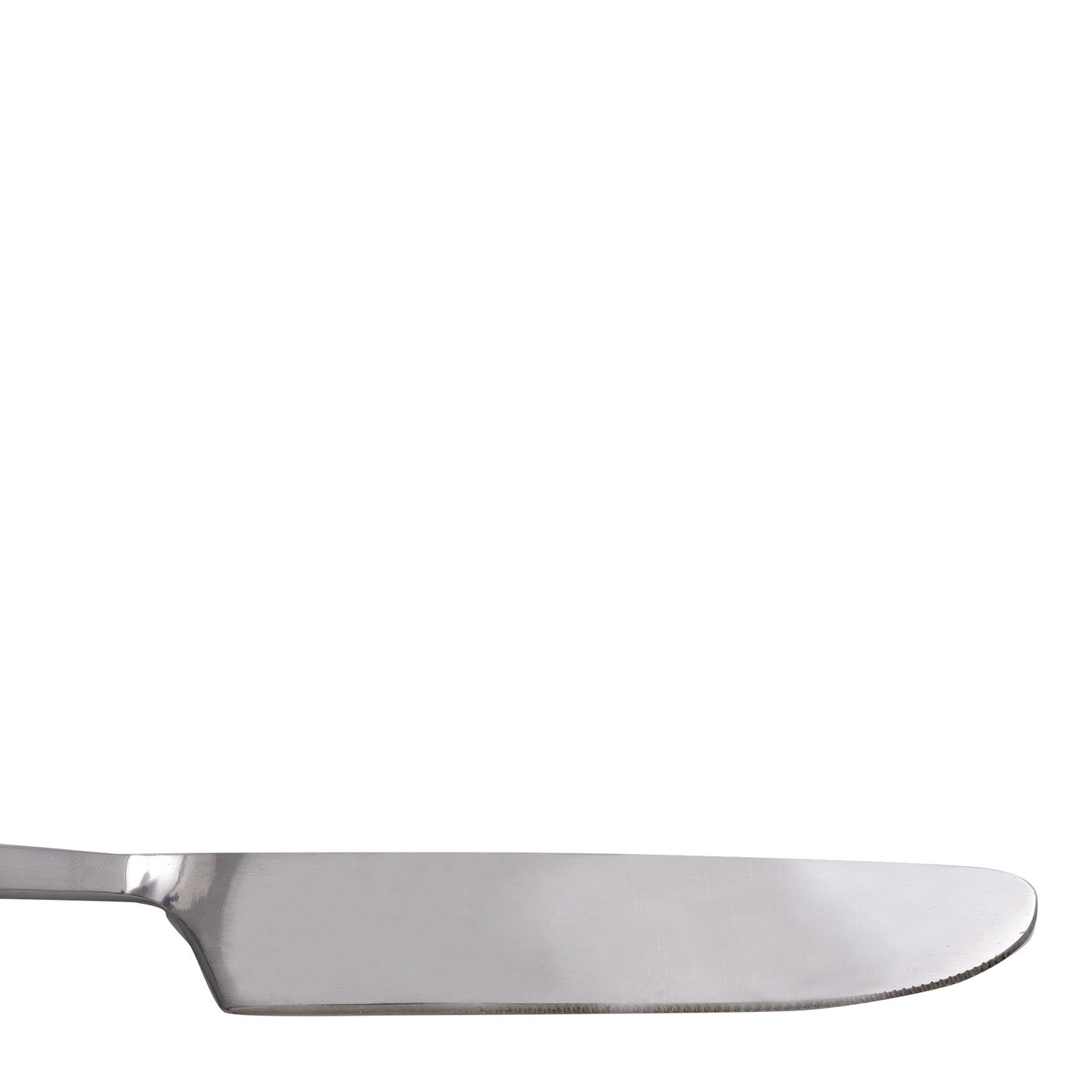 YARGICI Tatlı Bıçağı (20 Cm)