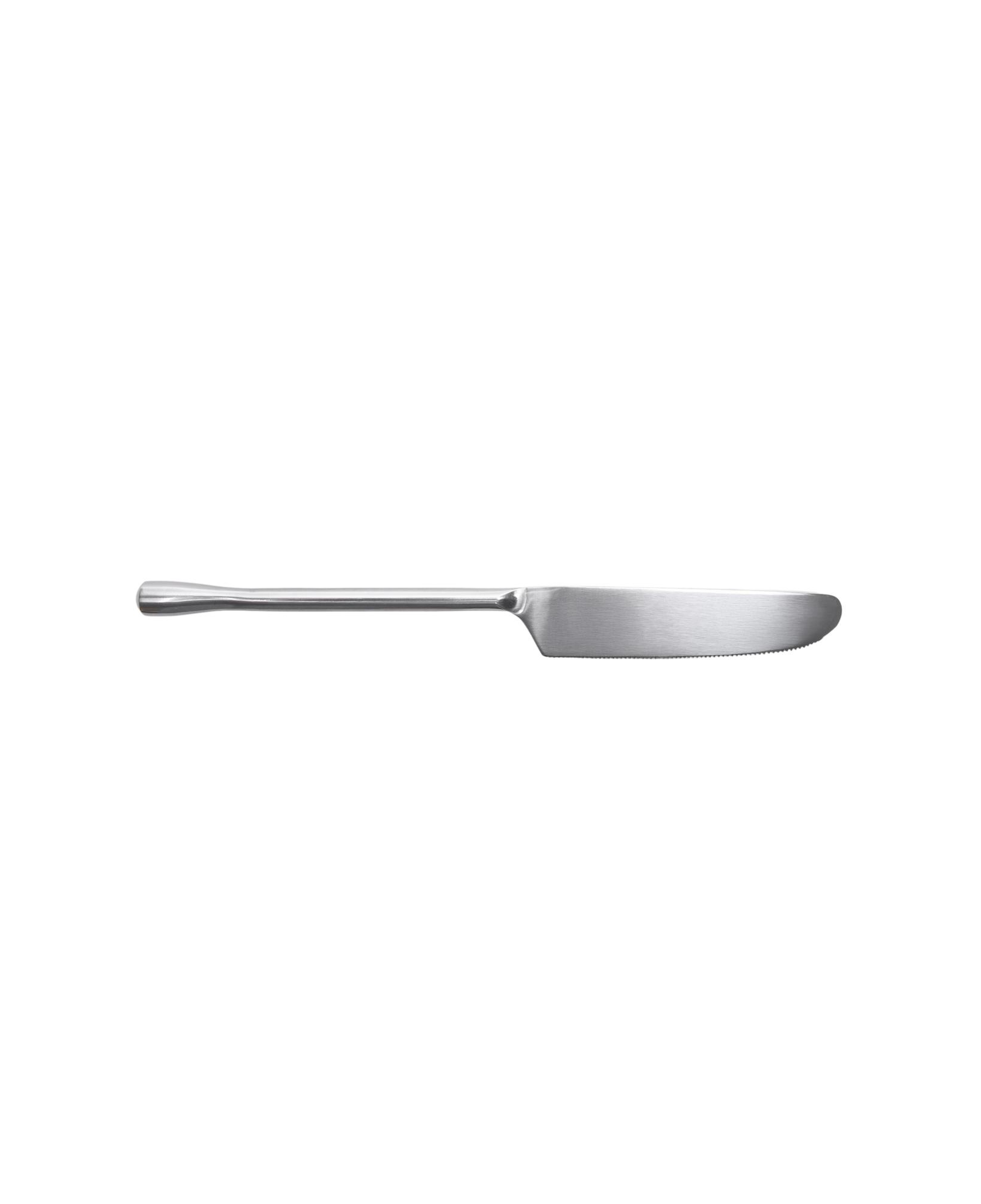 YARGICI Paslanmaz Çelik Tatlı Bıçağı(20 Cm)