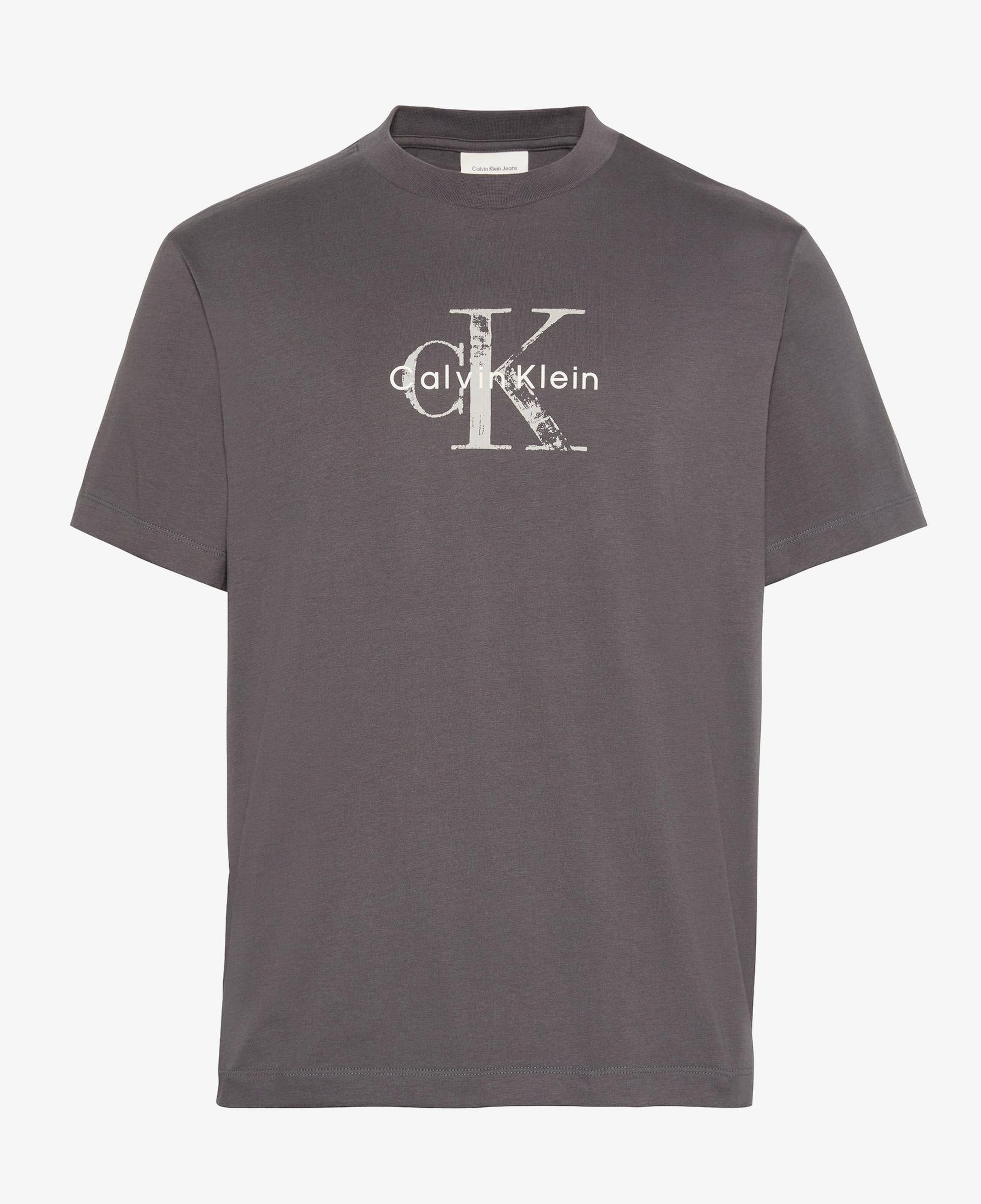 Calvin Klein 20S Distressd Monologo Graphic Erkek Gri T-Shirt