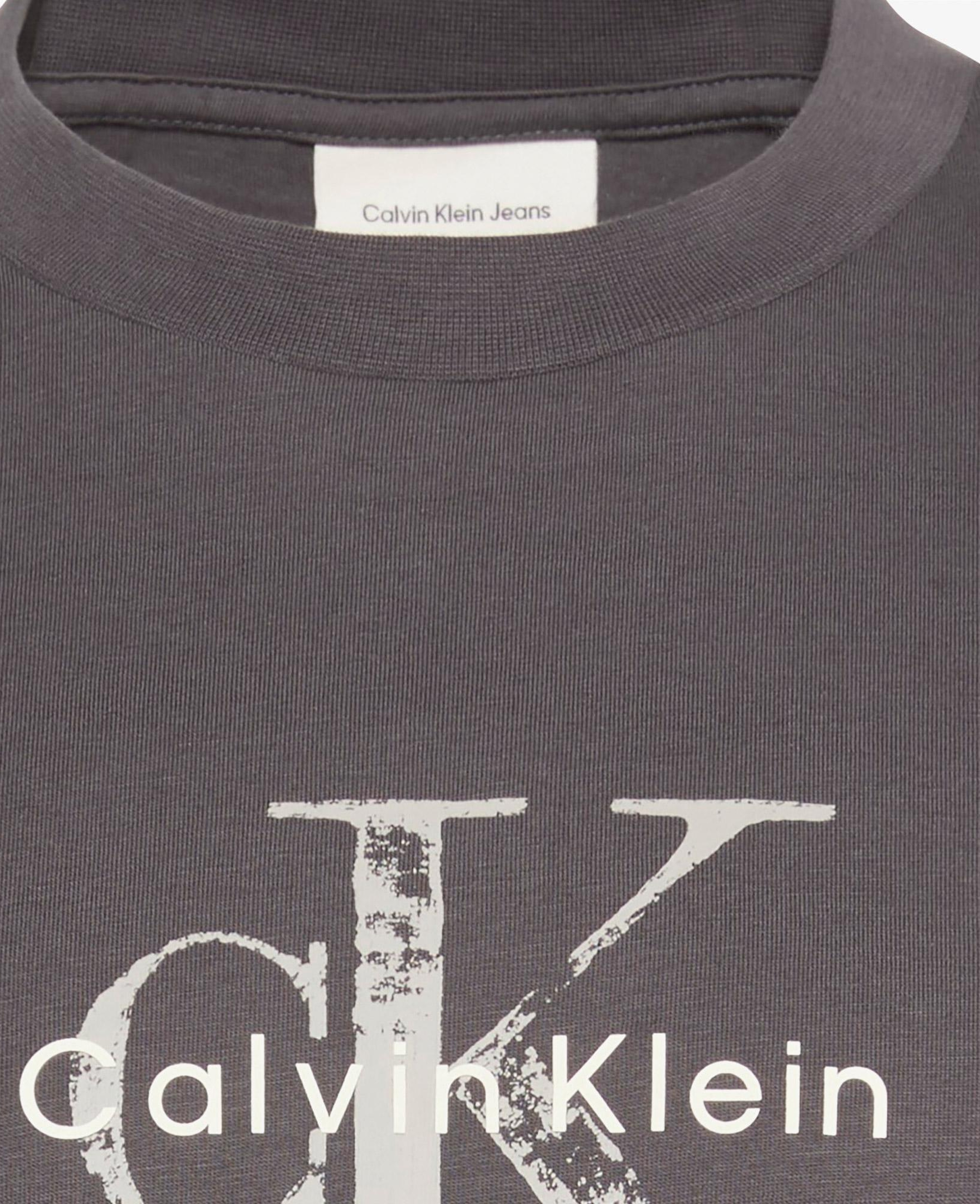 Calvin Klein 20S Distressd Monologo Graphic Erkek Gri T-Shirt