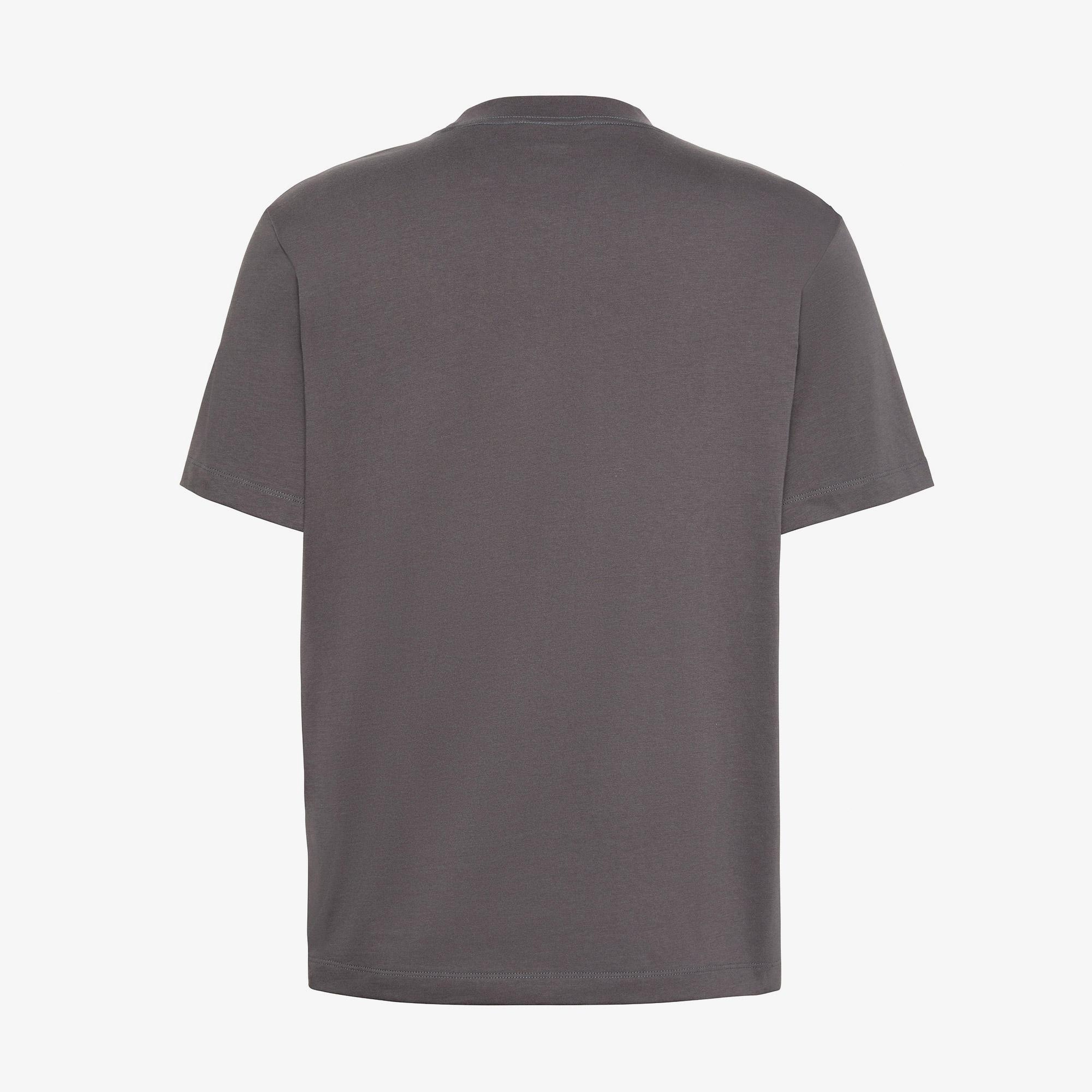 Calvin Klein 20S Distressd Monologo Graphic Erkek Gri T-Shirt