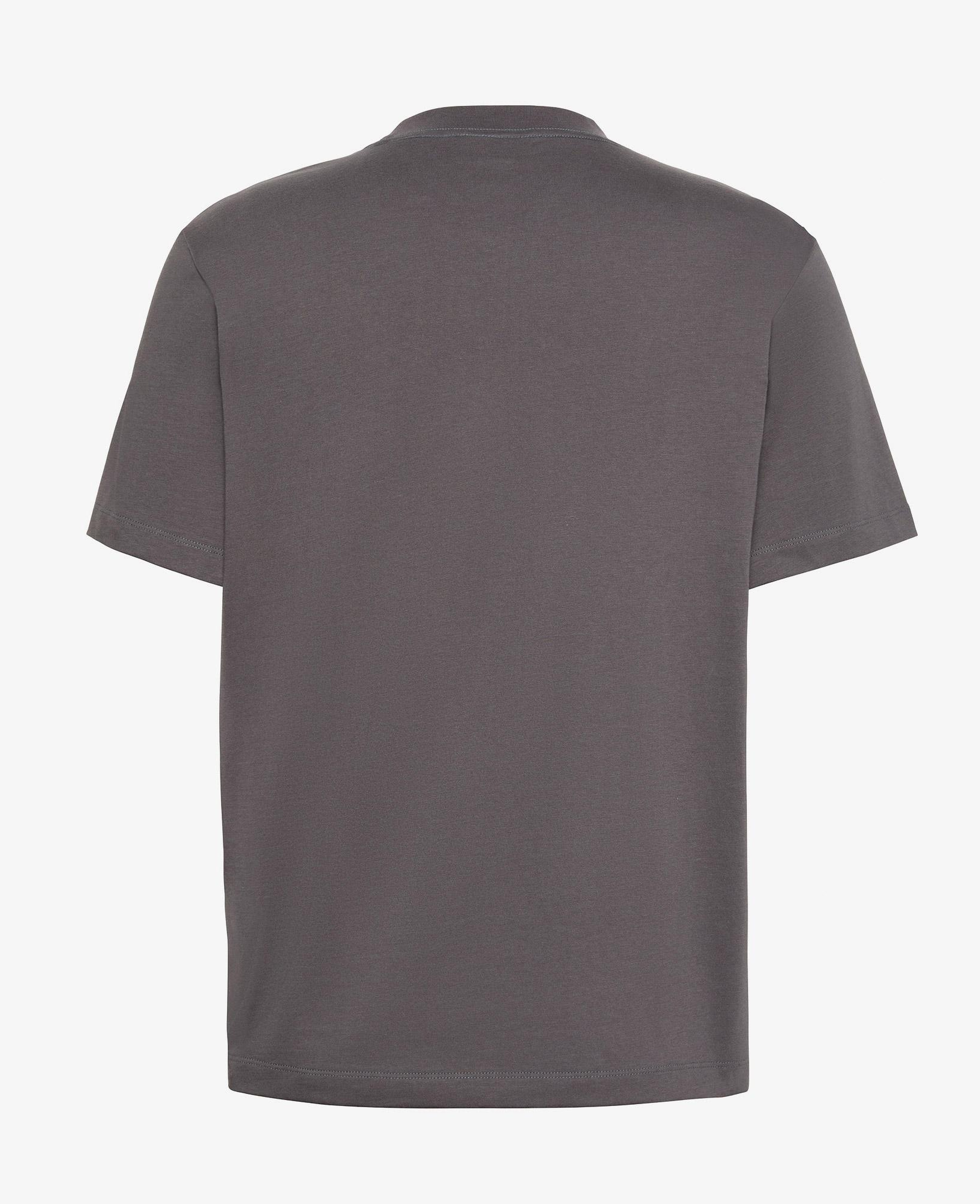 Calvin Klein 20S Distressd Monologo Graphic Erkek Gri T-Shirt