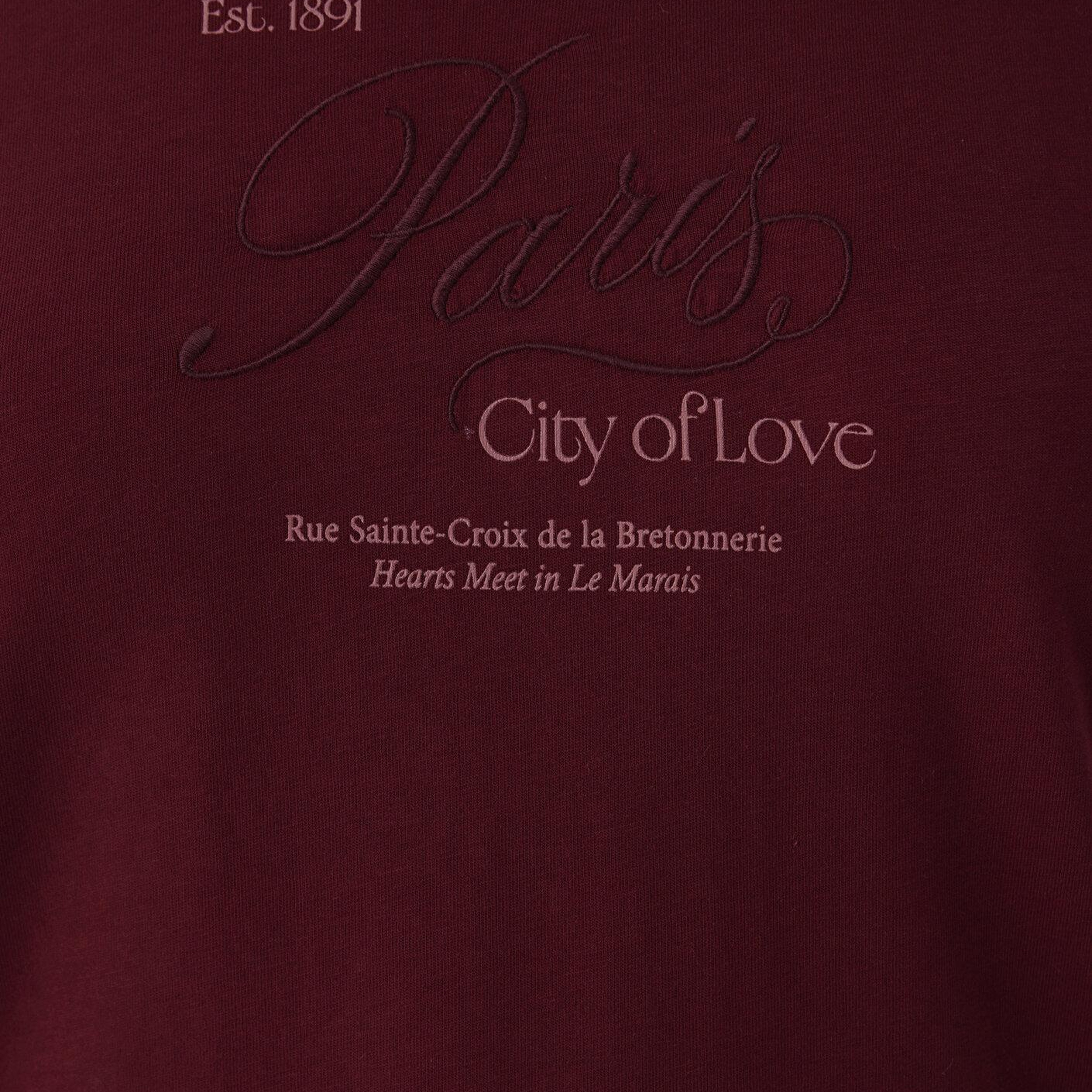 Mavi Paris İşlemeli Kırmızı Tişört Slim Fit / Dar Kesim 1614259-85633
