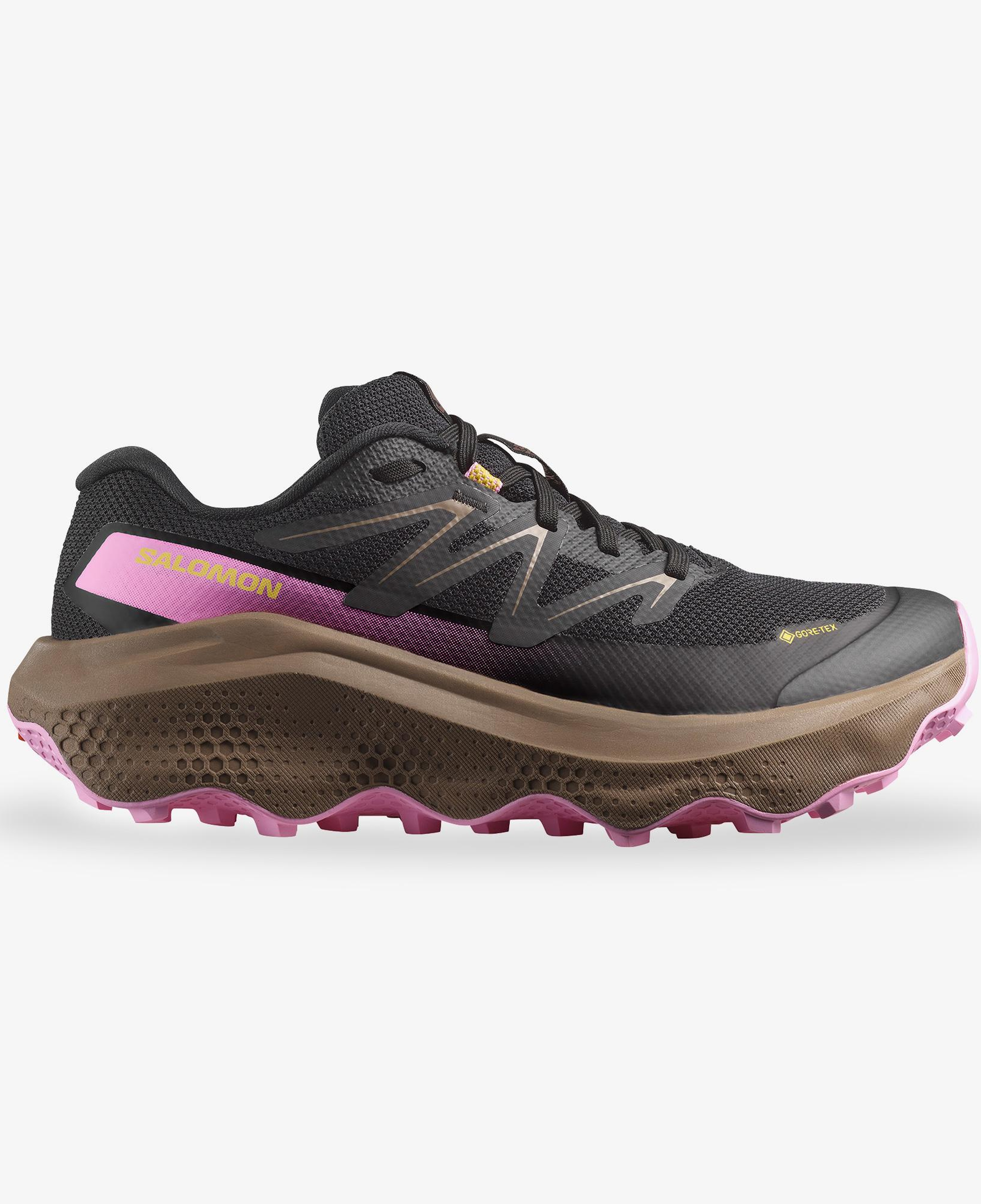 Salomon Ultra Flow 2 Gore Tex Kadın Siyah Koşu Ayakkabısı