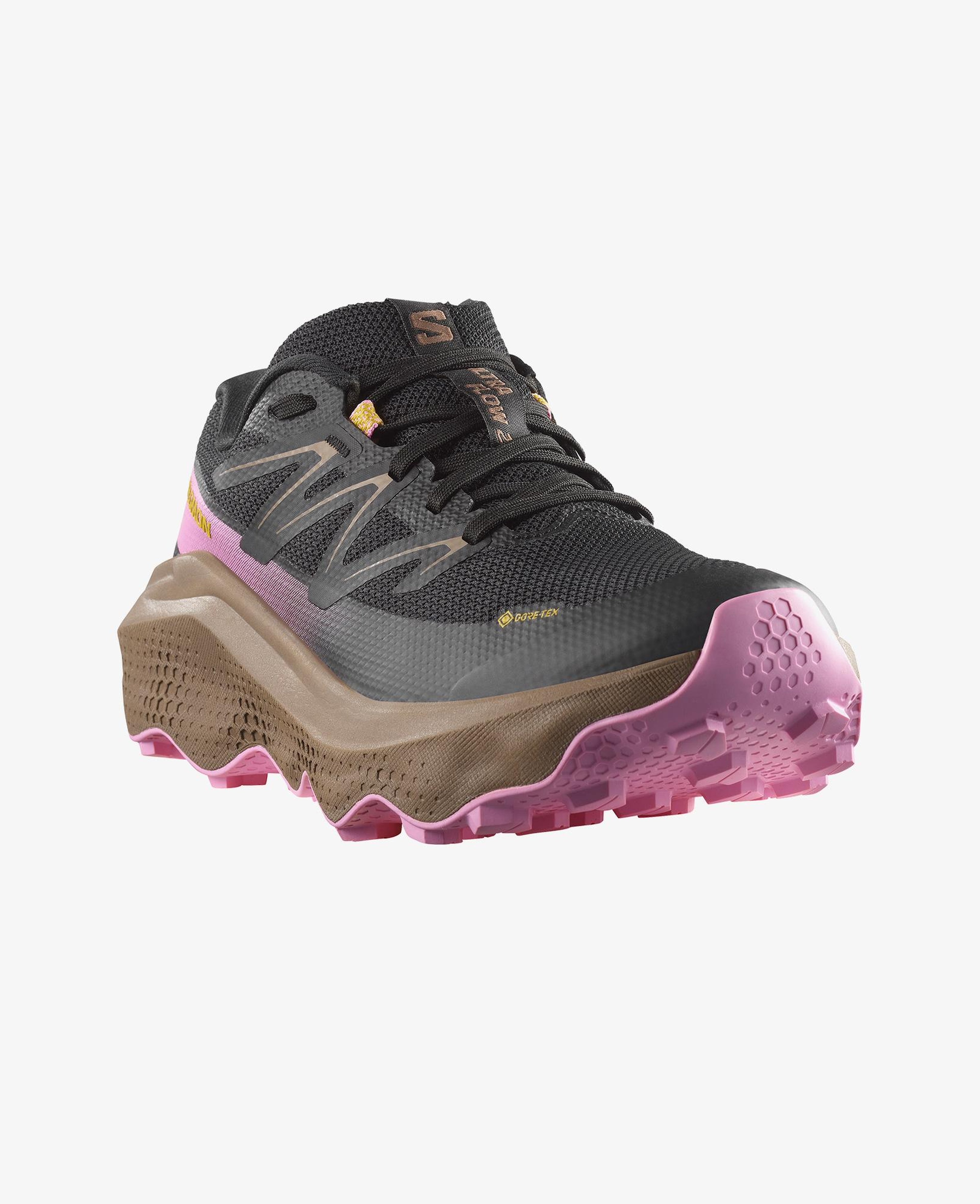 Salomon Ultra Flow 2 Gore Tex Kadın Siyah Koşu Ayakkabısı