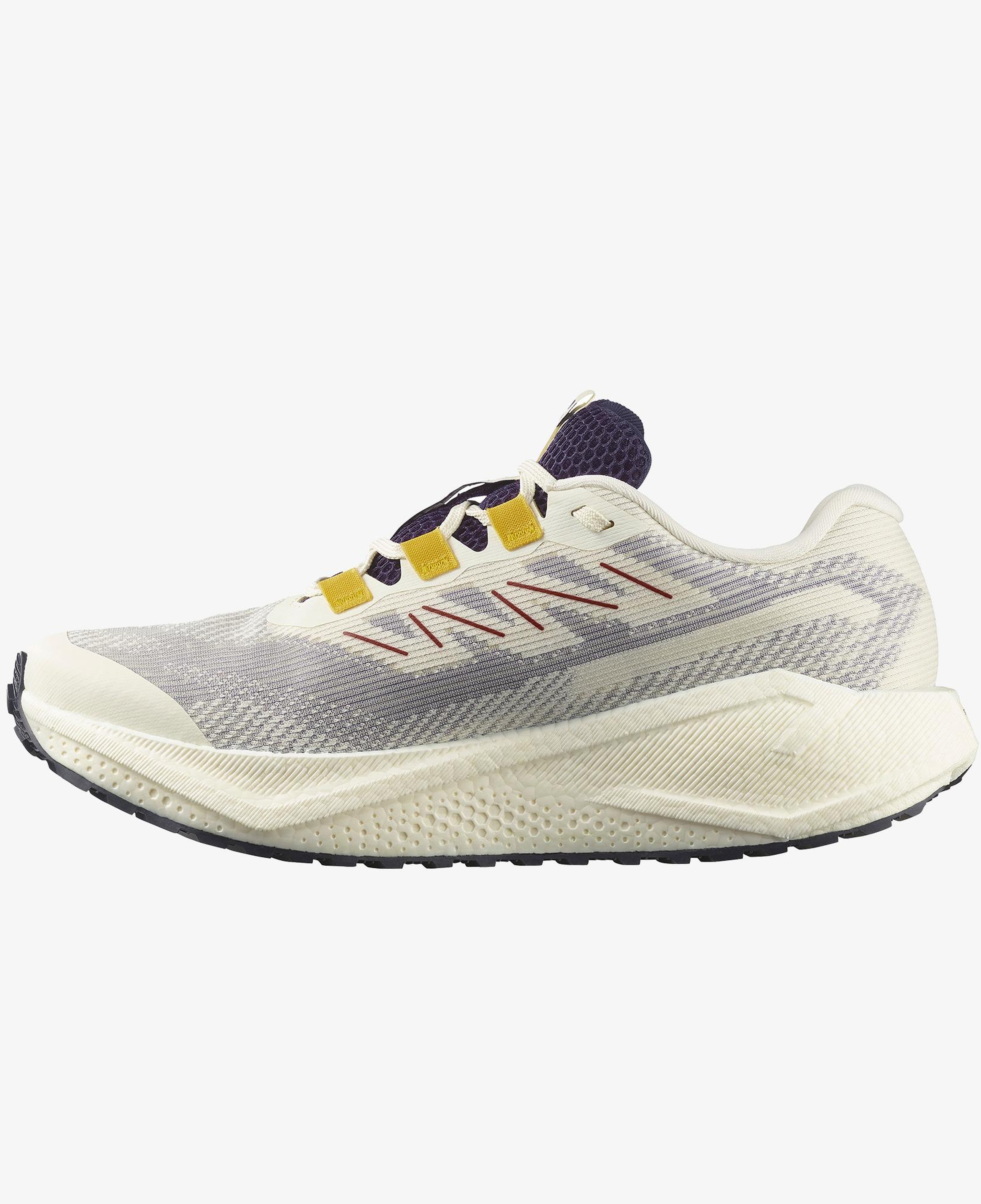 Salomon Aero Blaze 3 Grvl Gore Tex Erkek Beyaz Koşu Ayakkabısı