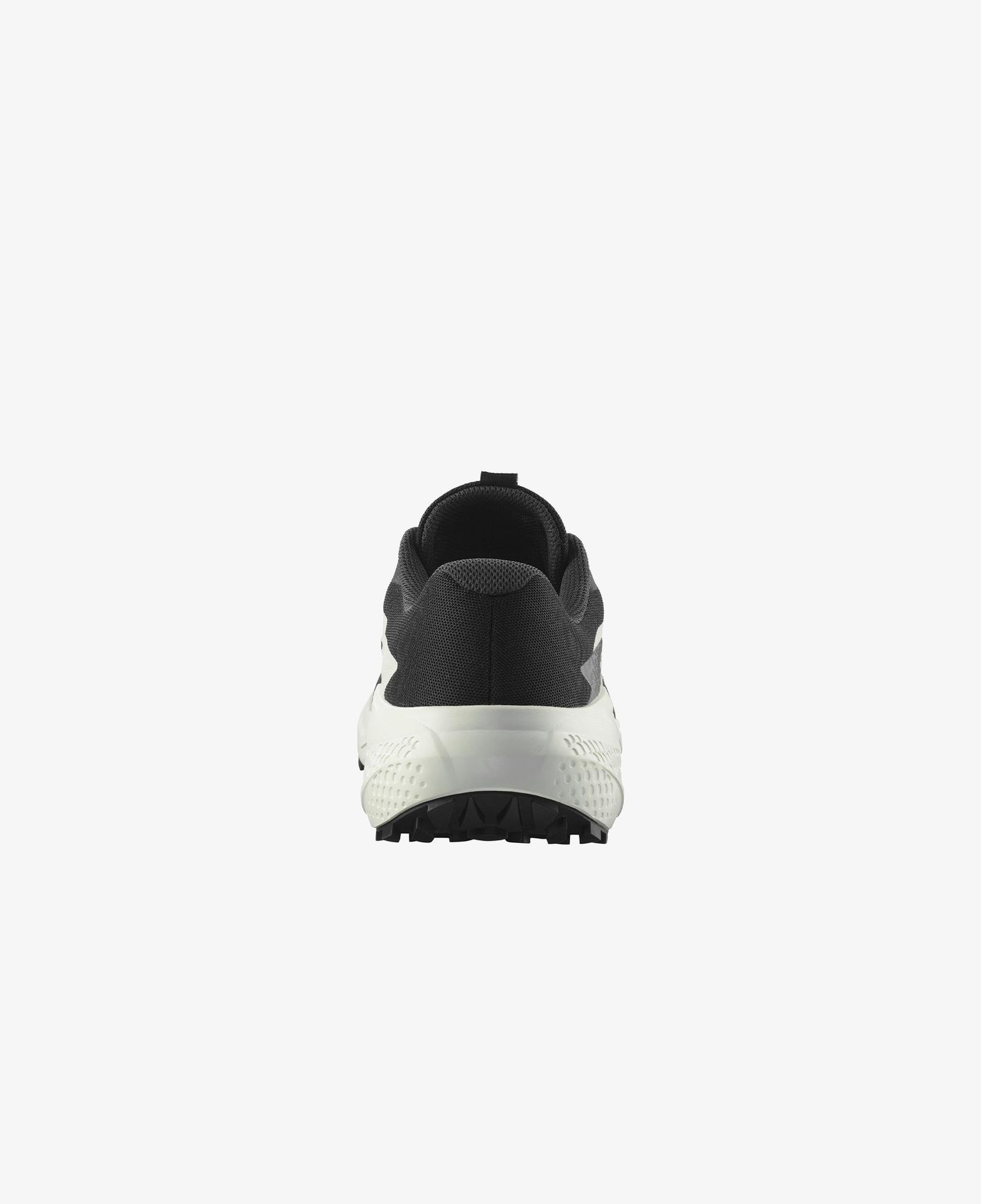 Salomon Alphaglide Erkek Gri Koşu Ayakkabısı