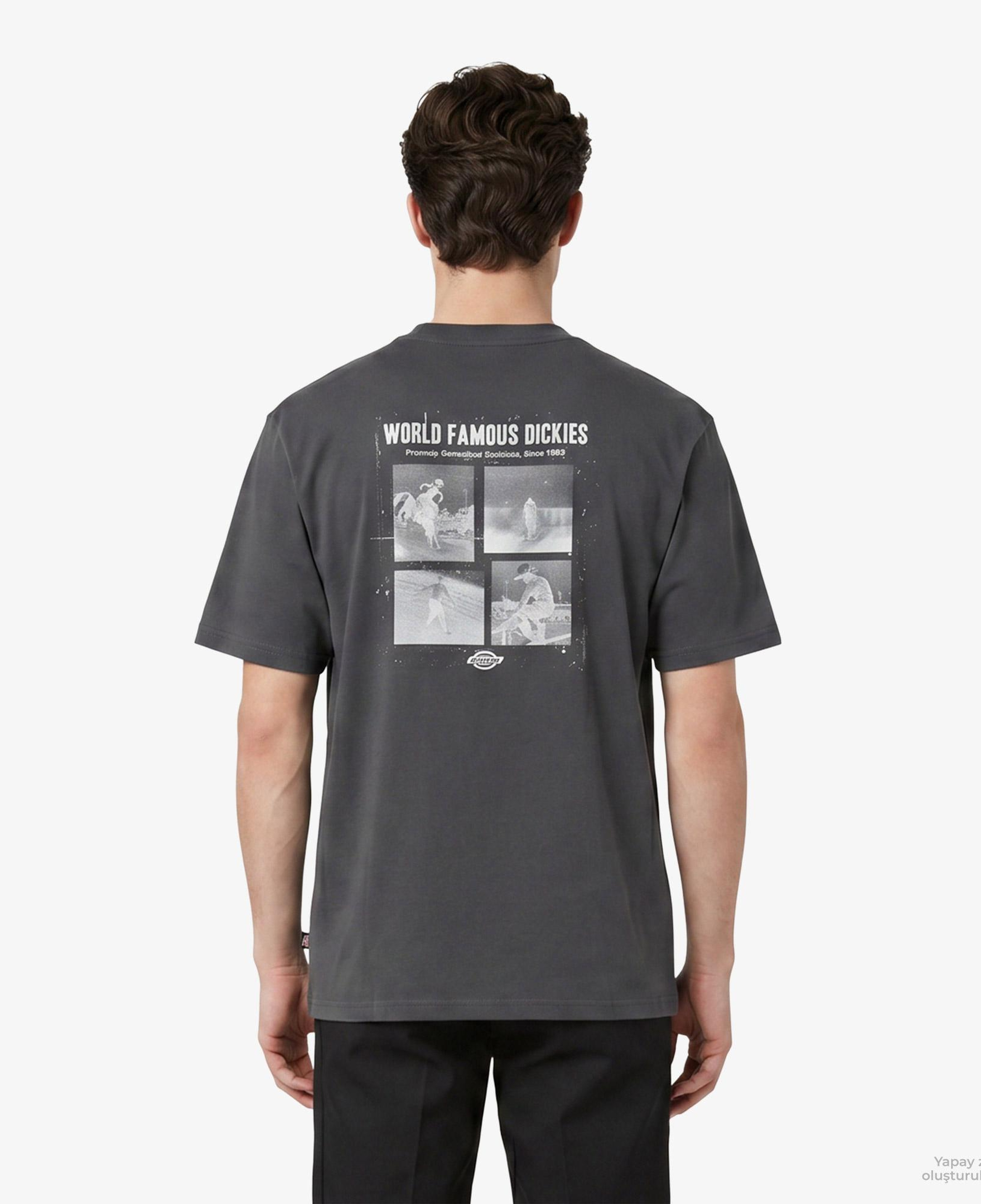 Dickies Wolfhurst Erkek Gri T-Shirt
