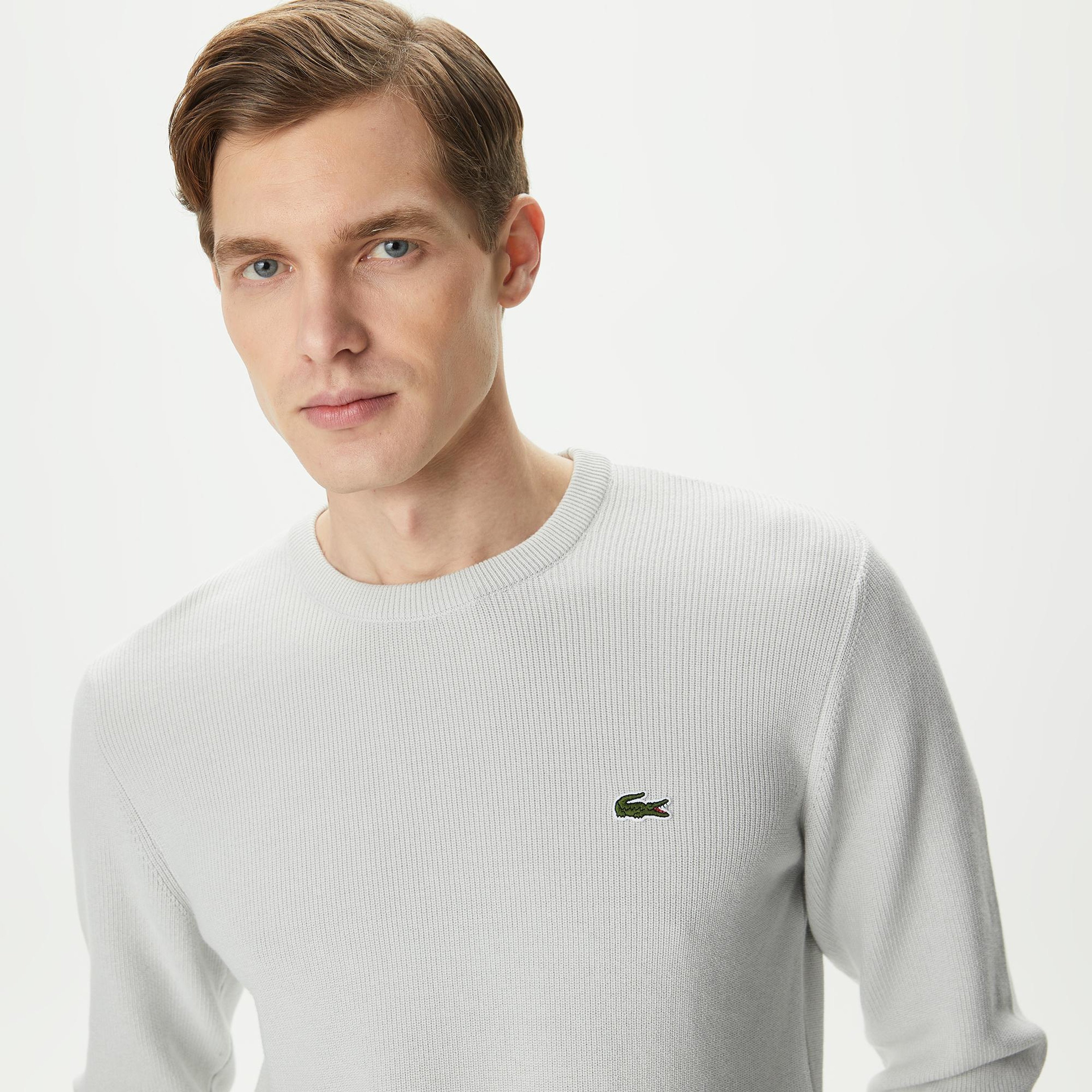 Erkek Regular Fit Bisiklet Yaka Gri Kazak