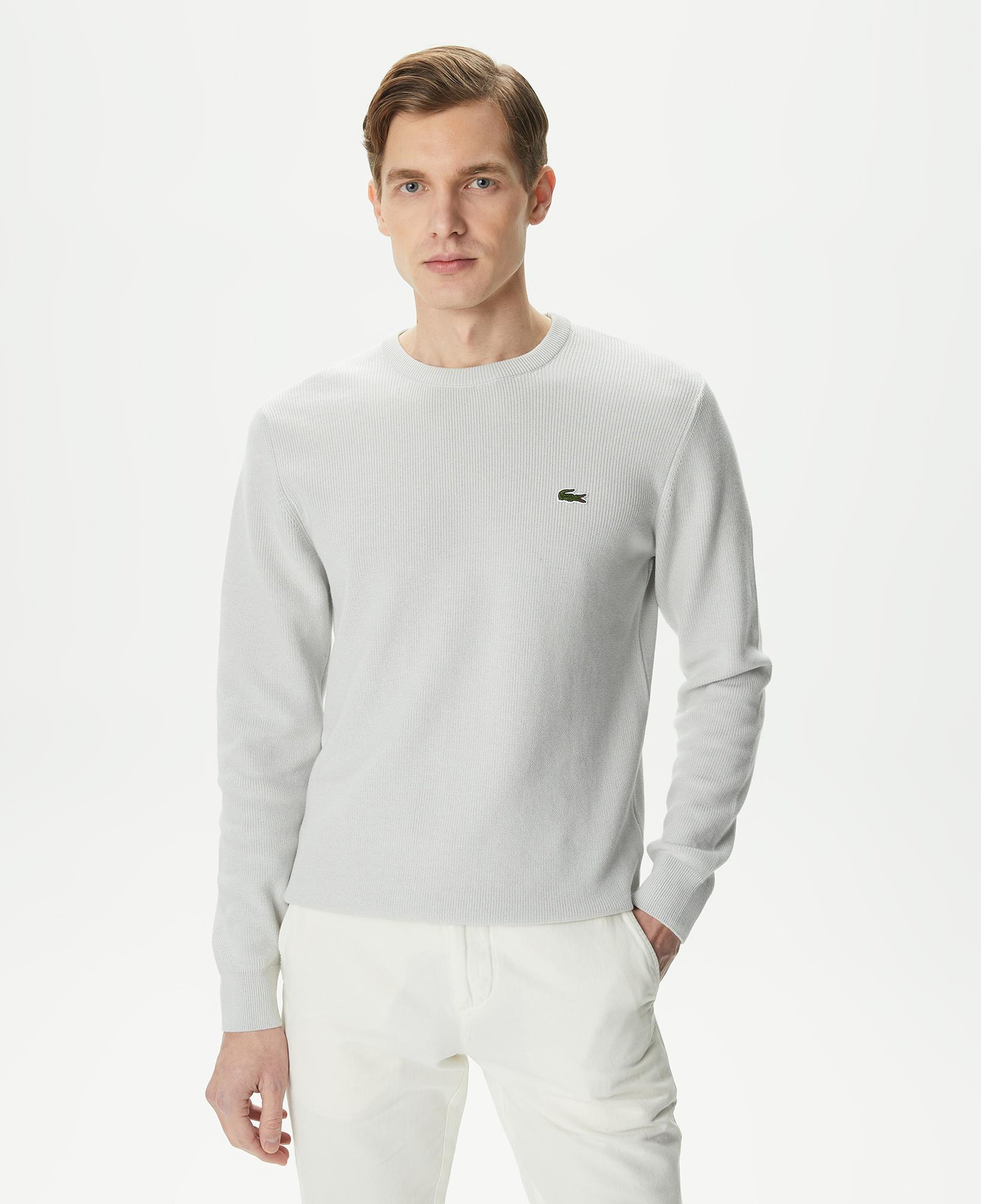 Erkek Regular Fit Bisiklet Yaka Gri Kazak