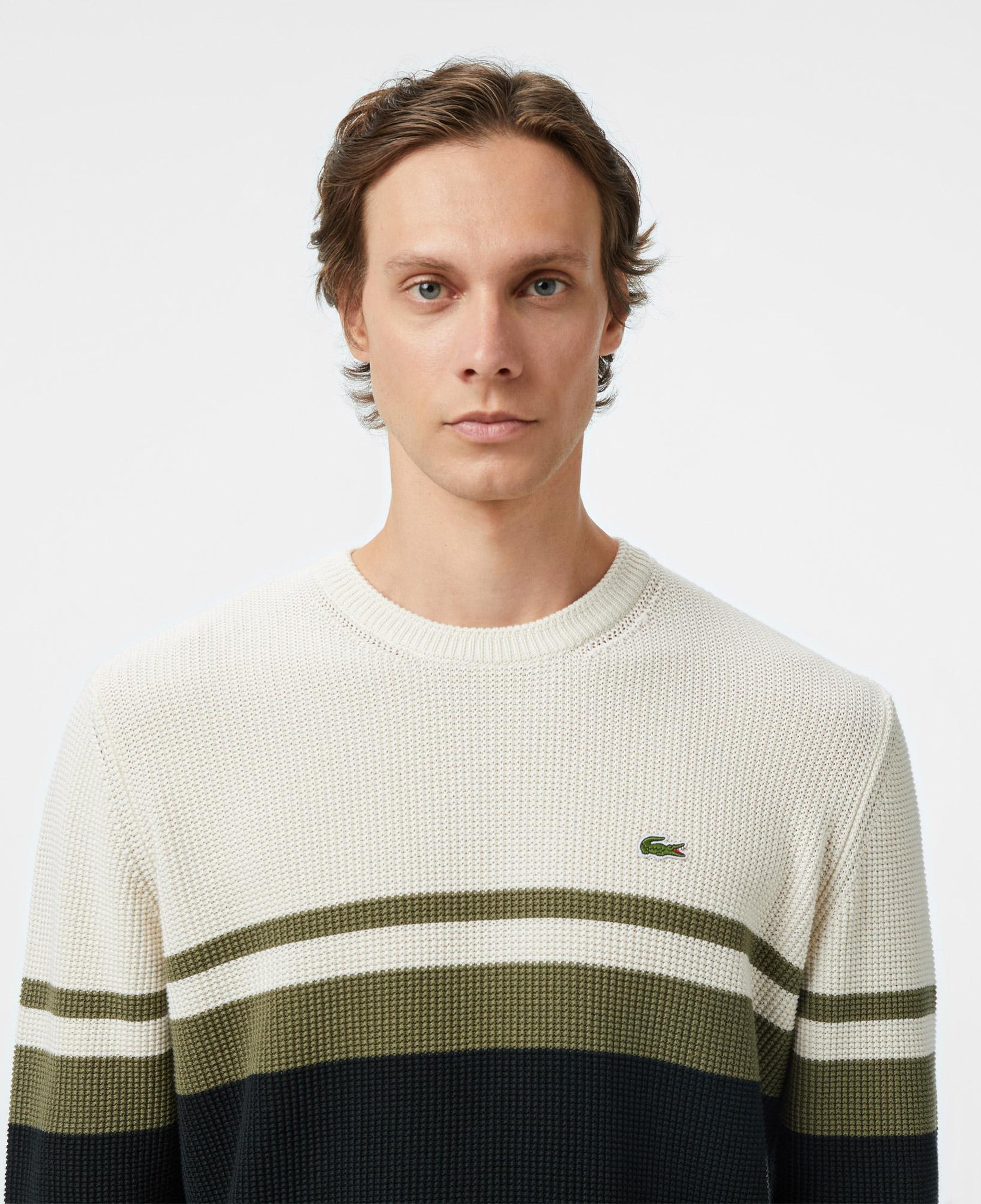 Erkek Classic Fit Bisiklet Yaka Renk Bloklu Siyah Kazak