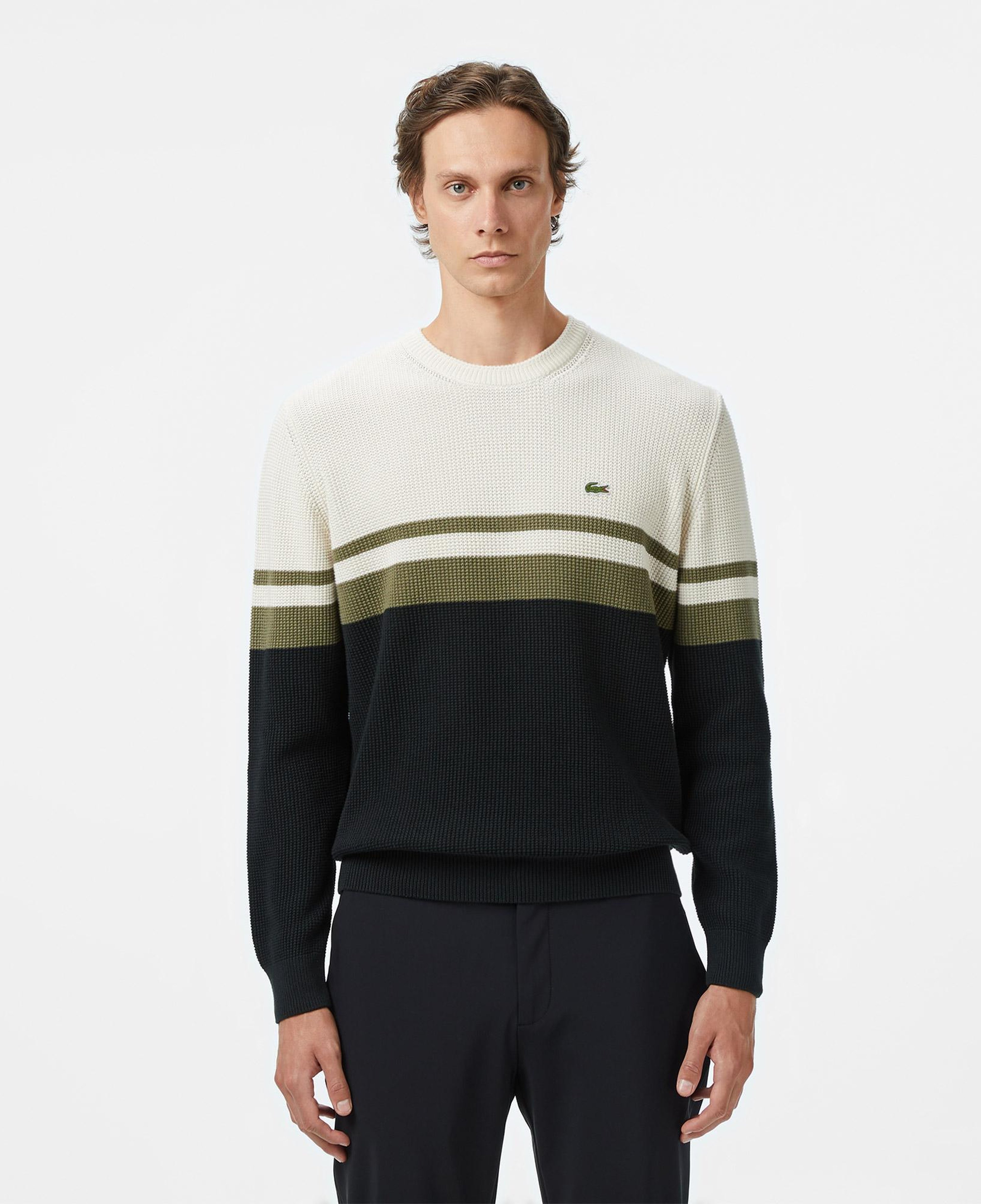Erkek Classic Fit Bisiklet Yaka Renk Bloklu Siyah Kazak