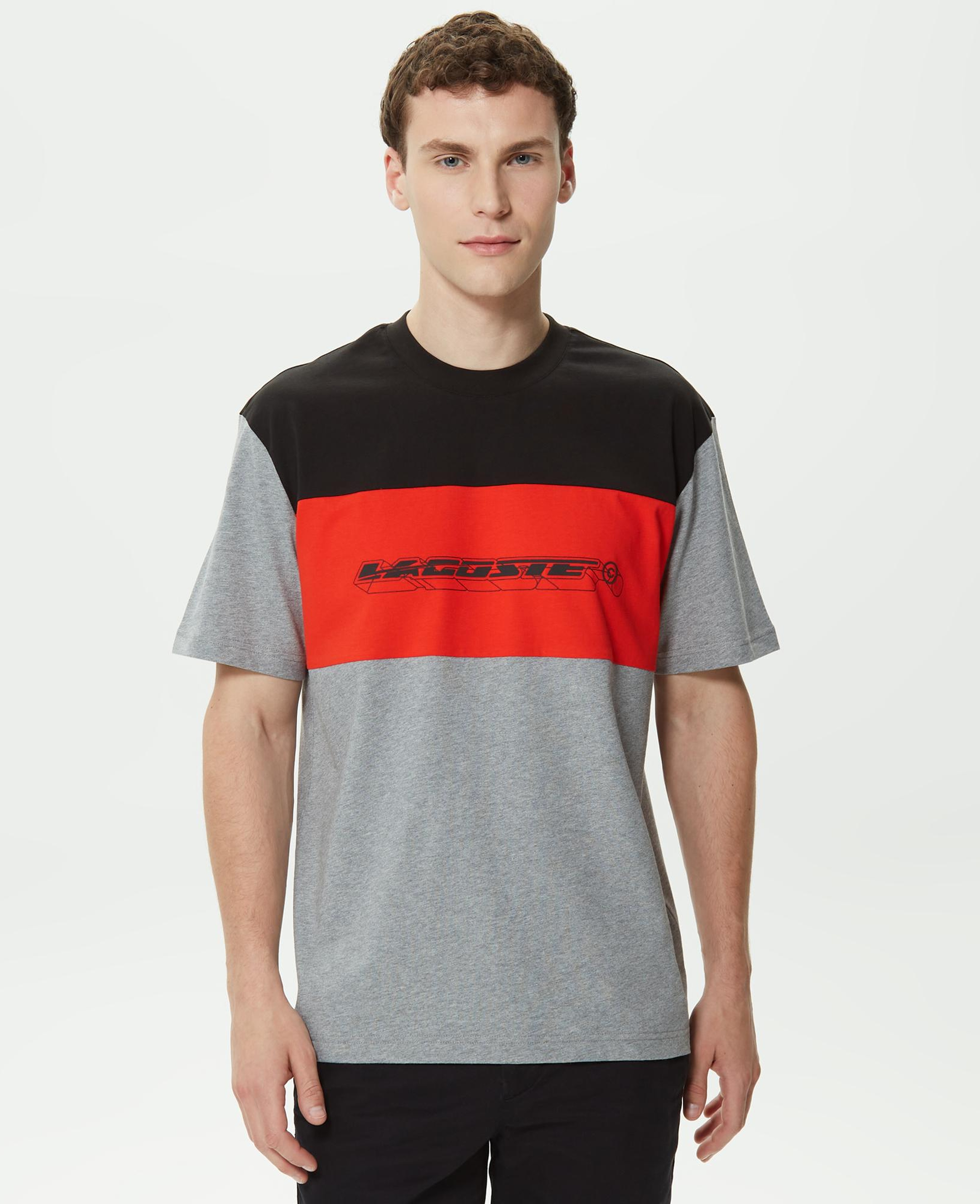 Erkek Relaxed Fit Bisiklet Yaka Renk Bloklu Gri T-Shirt
