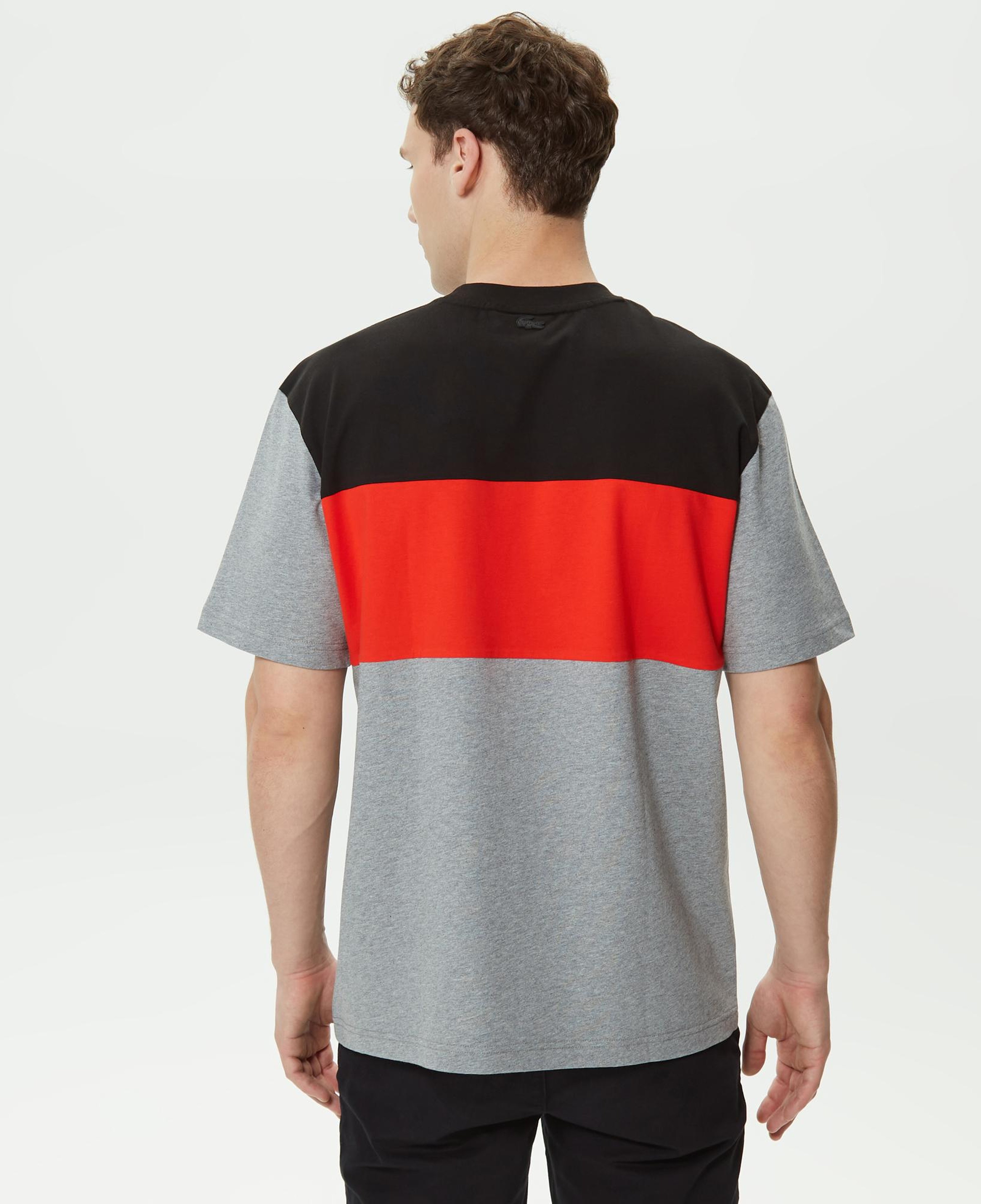 Erkek Relaxed Fit Bisiklet Yaka Renk Bloklu Gri T-Shirt
