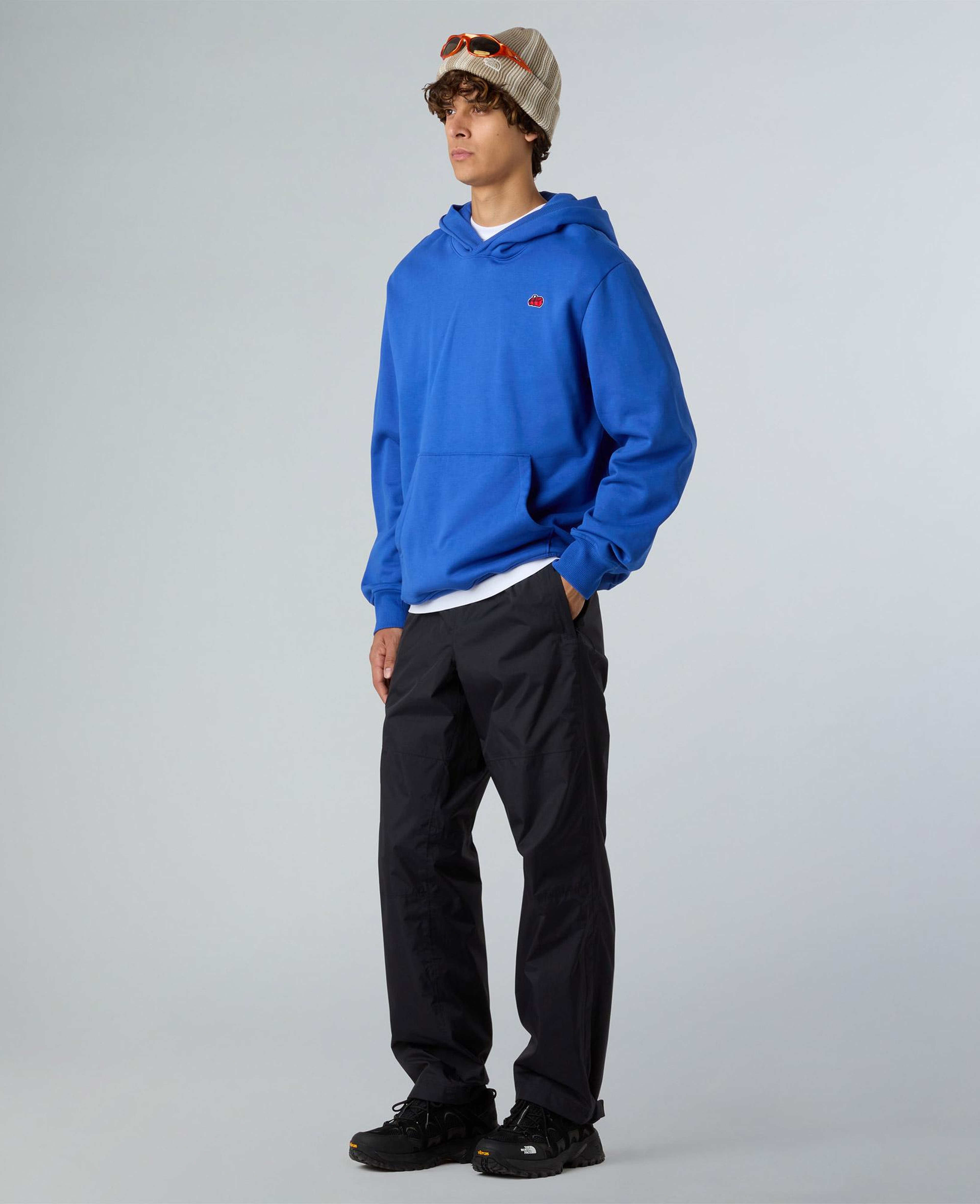 The North Face Icon Mountain Erkek Mavi Sweatshirt