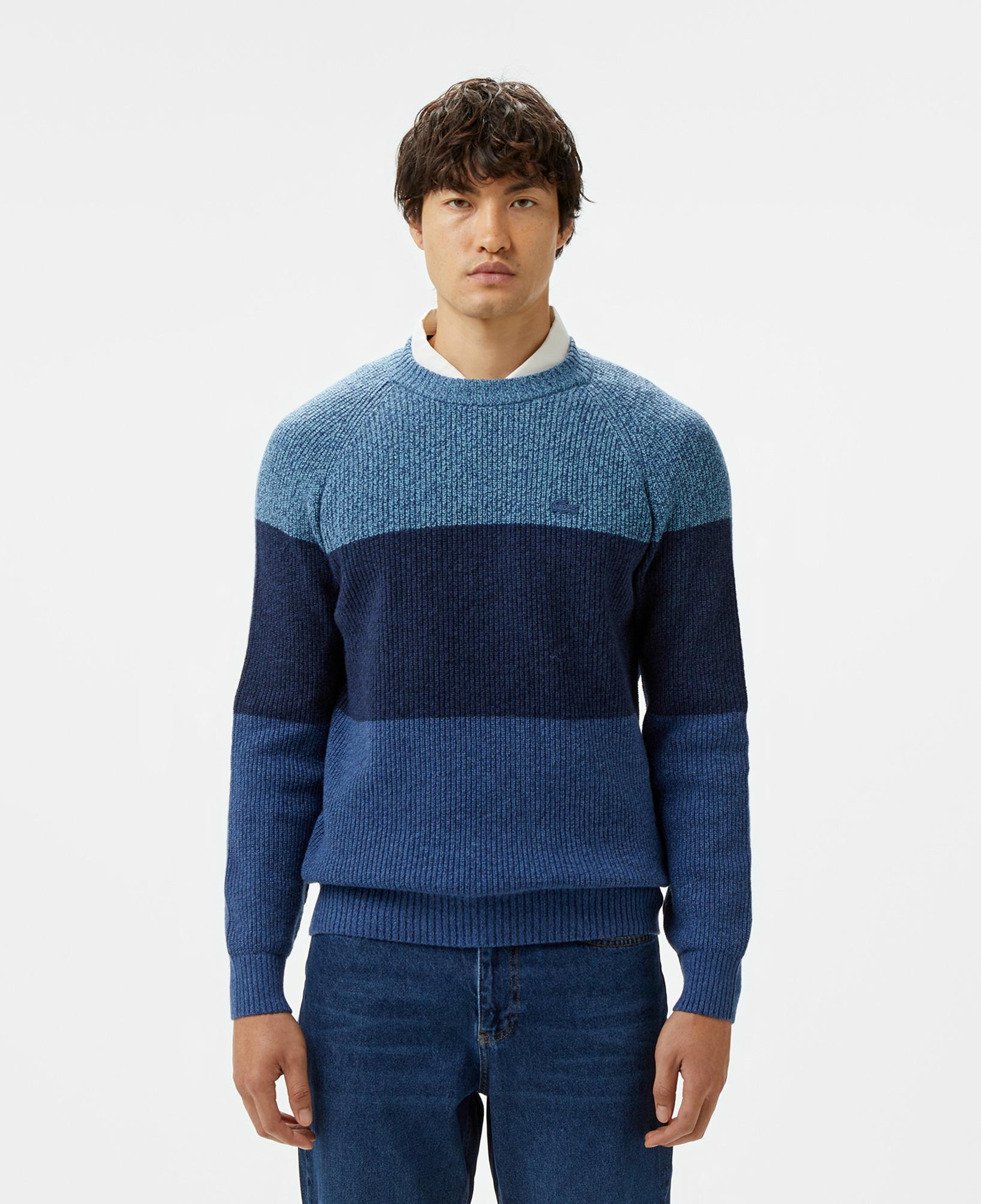 Lacoste Renkli Erkek Sweatshirt
