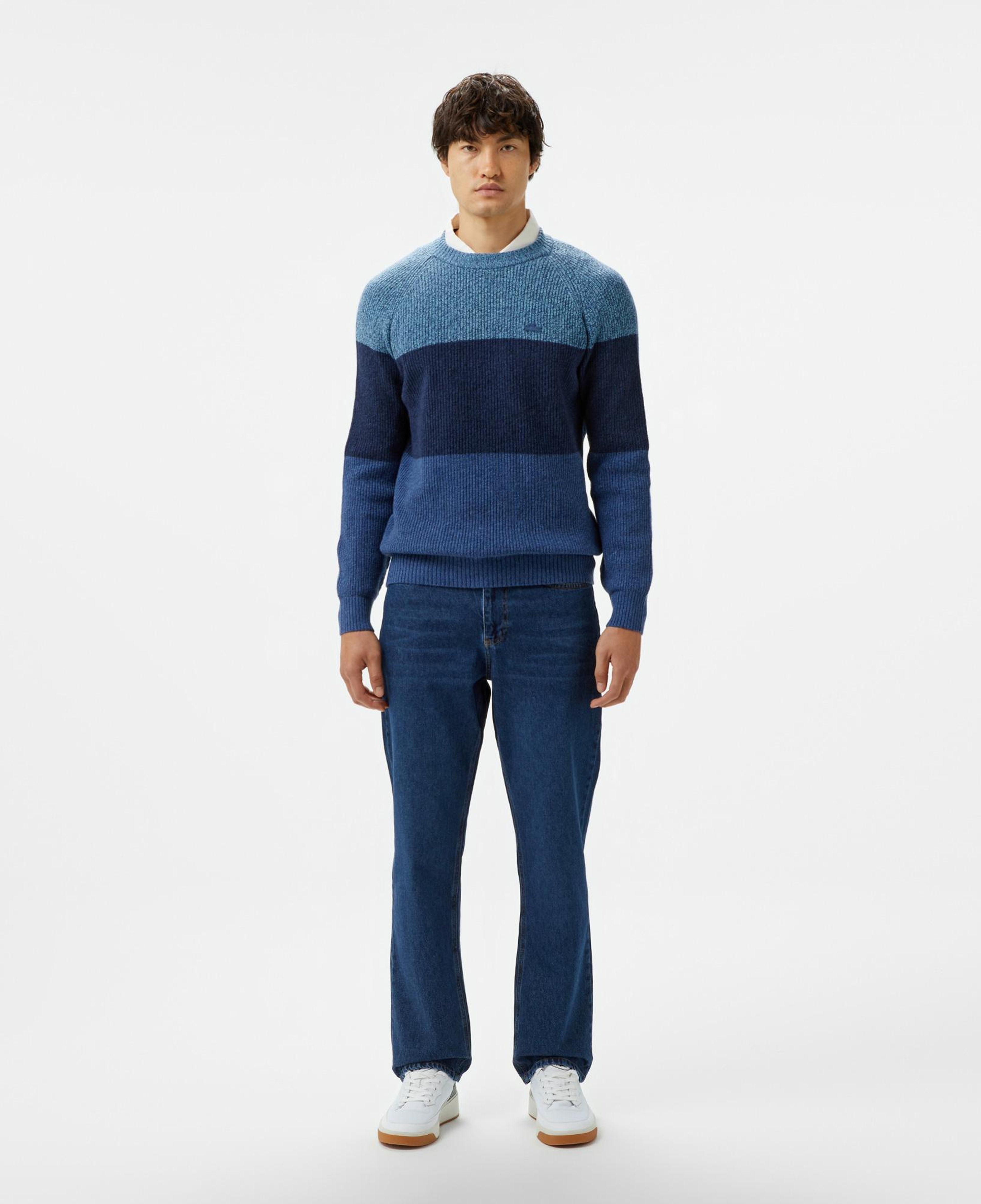 Lacoste Renkli Erkek Sweatshirt