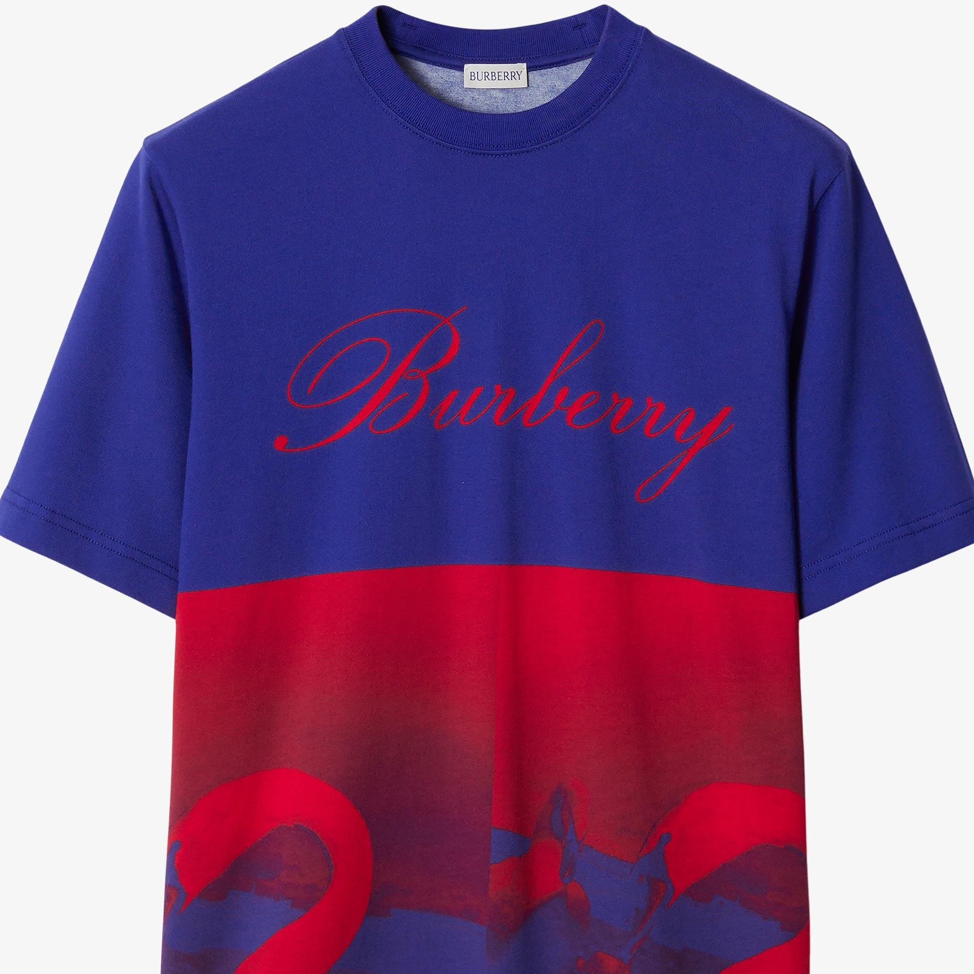 Kadın Mavi T-shirt