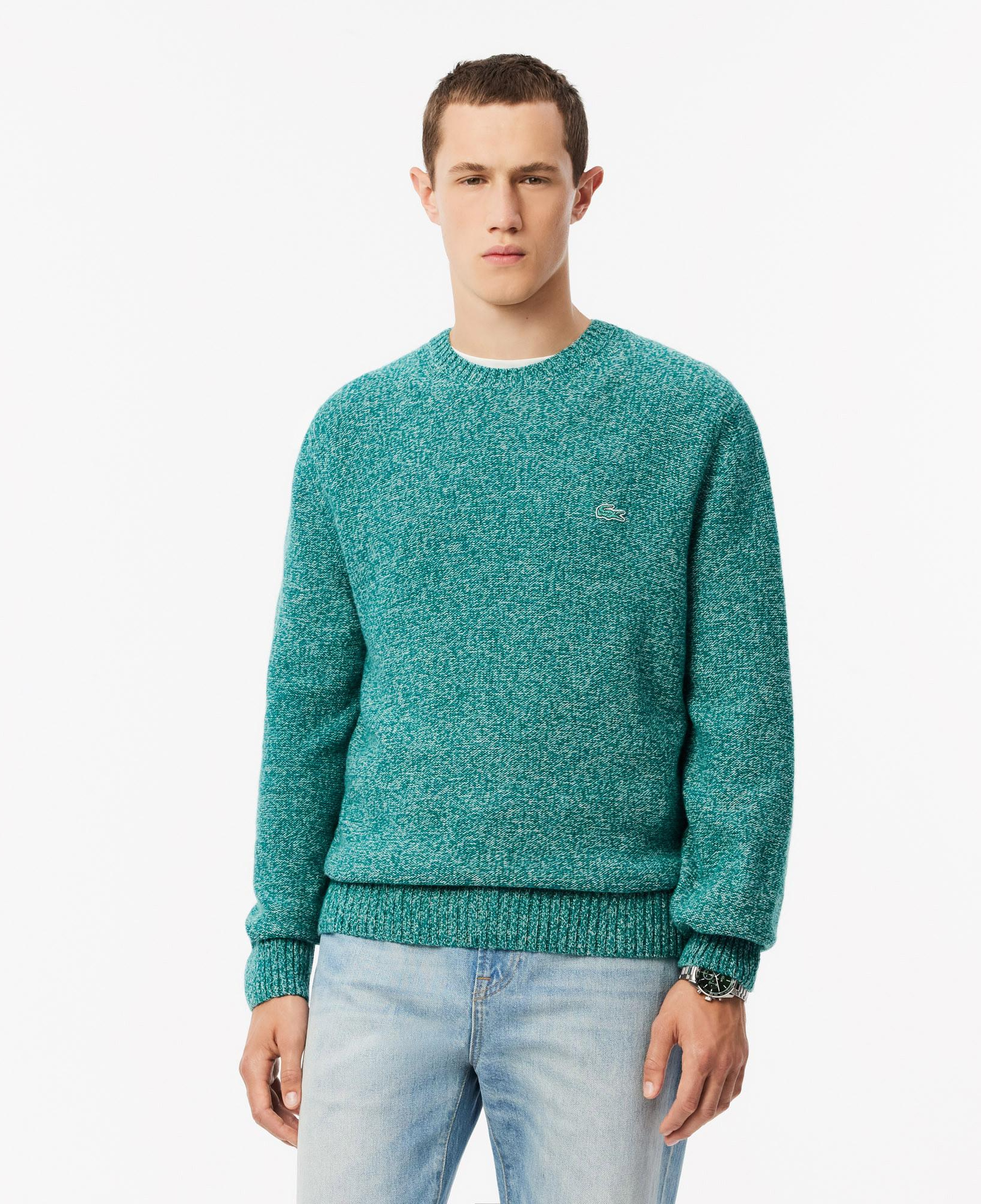 Erkek Classic Fit Bisiklet Yaka Yün Yeşil Kazak