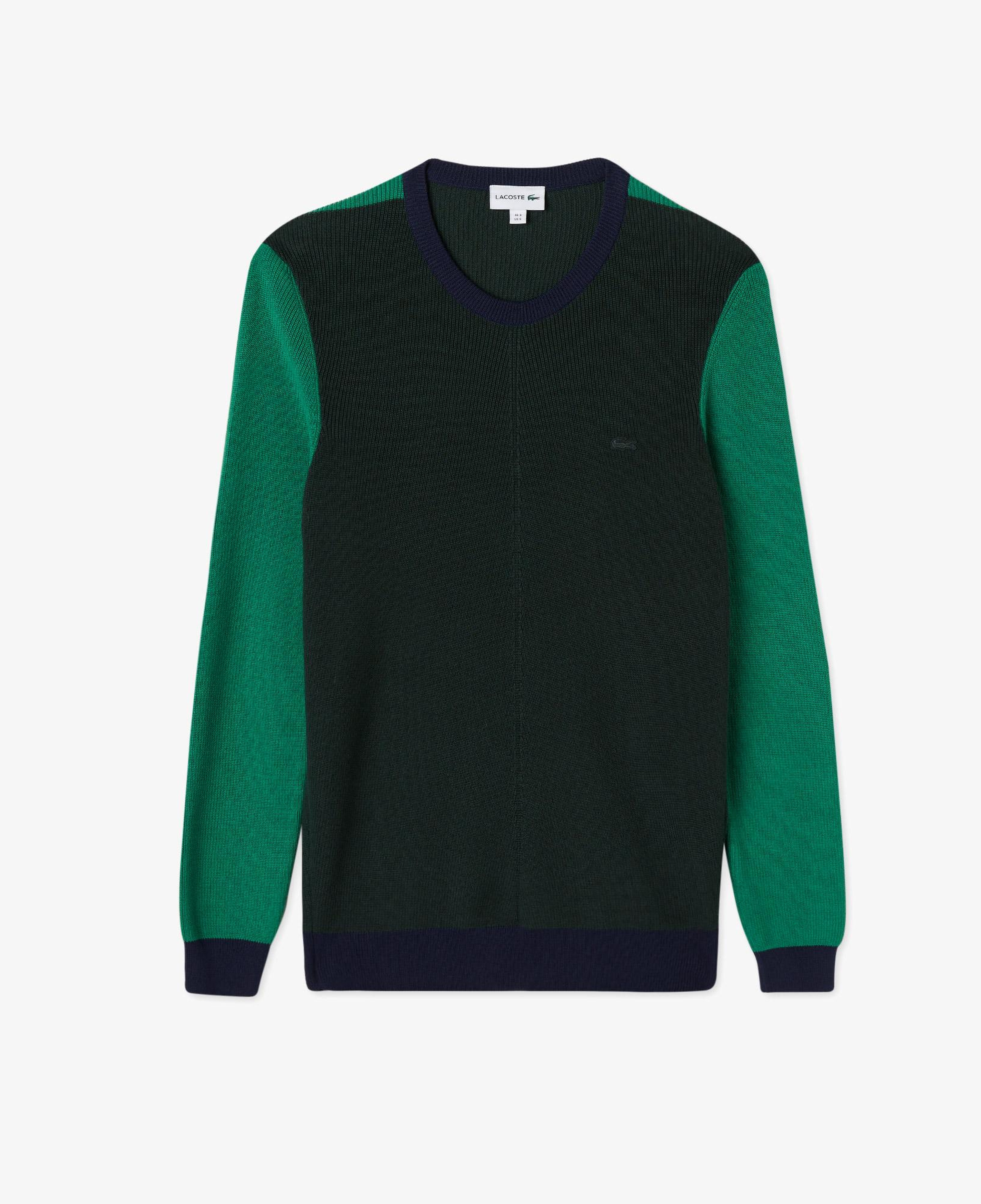 Erkek Regular Fit Uzun Kollu Bisiklet Yaka Renk Bloklu Koyu Yeşil Triko