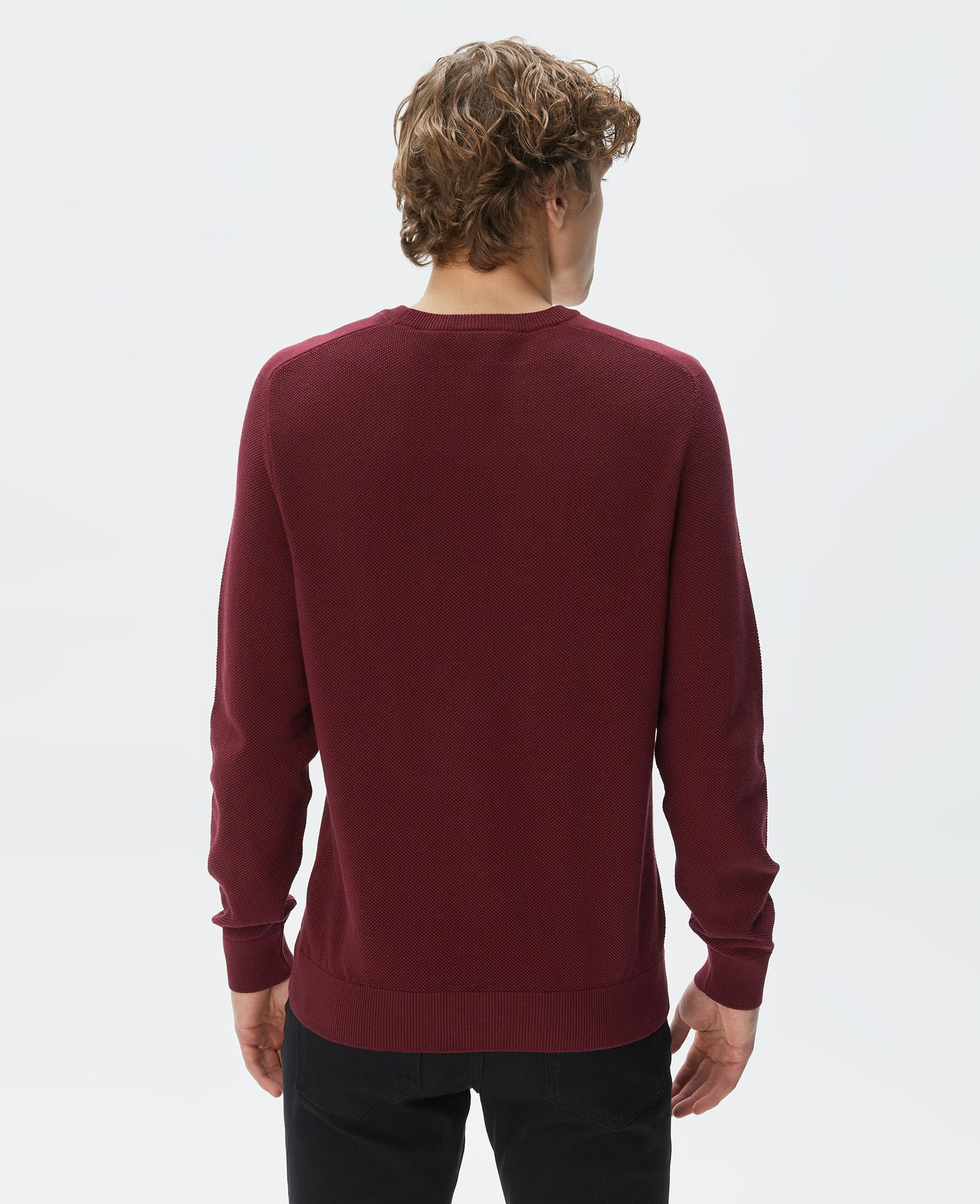 Erkek Regular Fit Bisiklet Yaka Bordo Triko