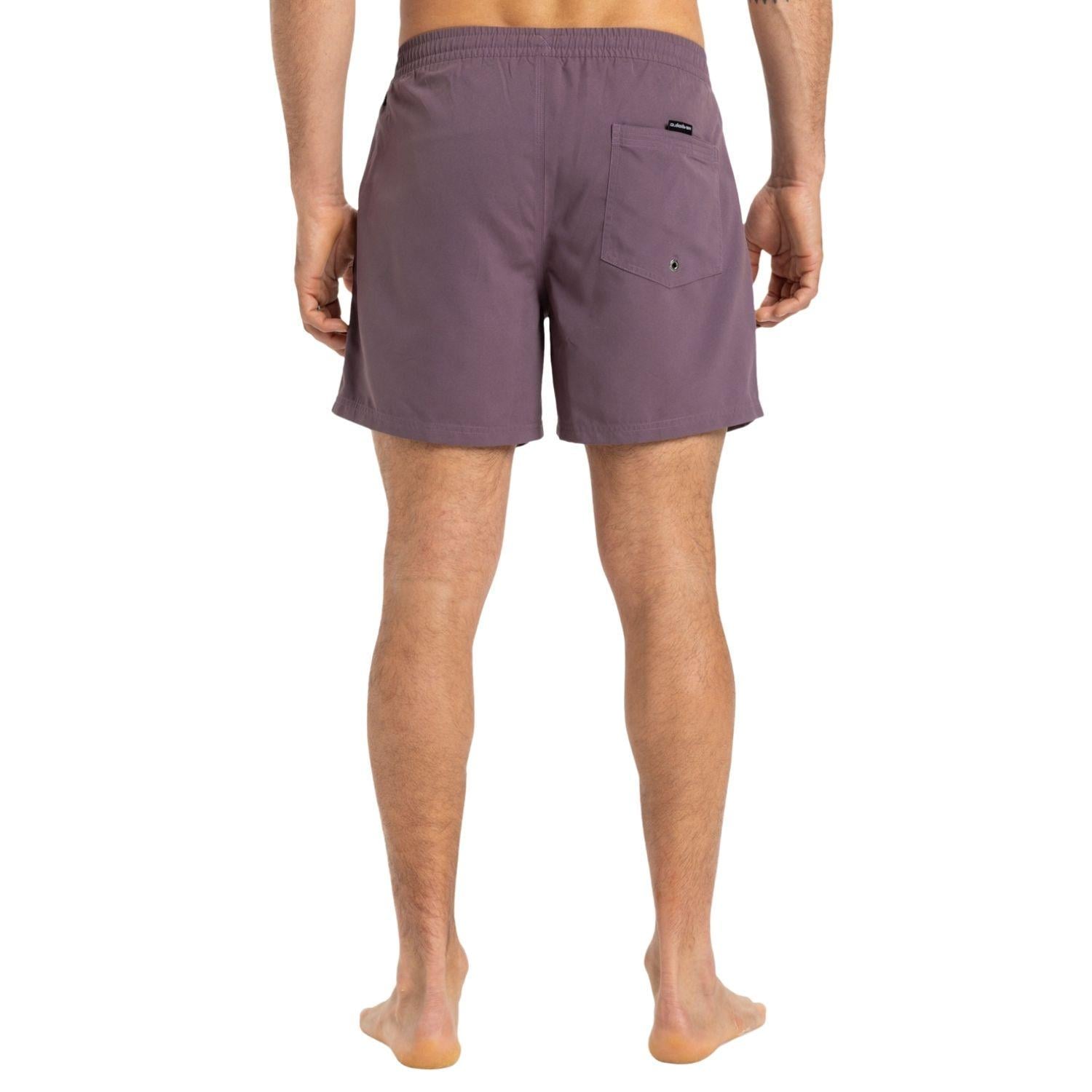 Quiksilver Everyday 15 Erkek Mor Volley Short